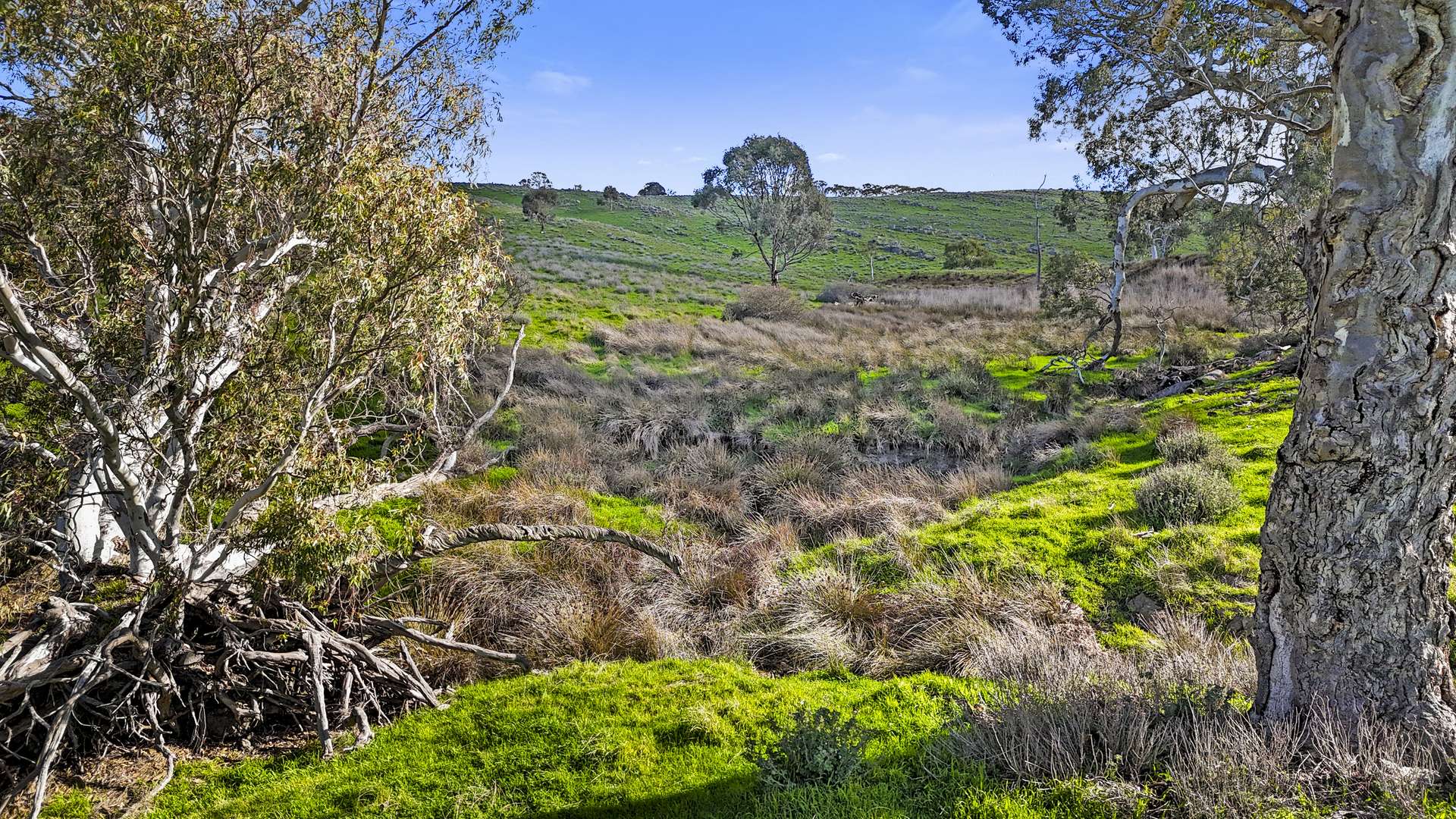 Lot 1240-1242 Falkai Road, Highland Valley Sold by Farmbuy.com - image 16