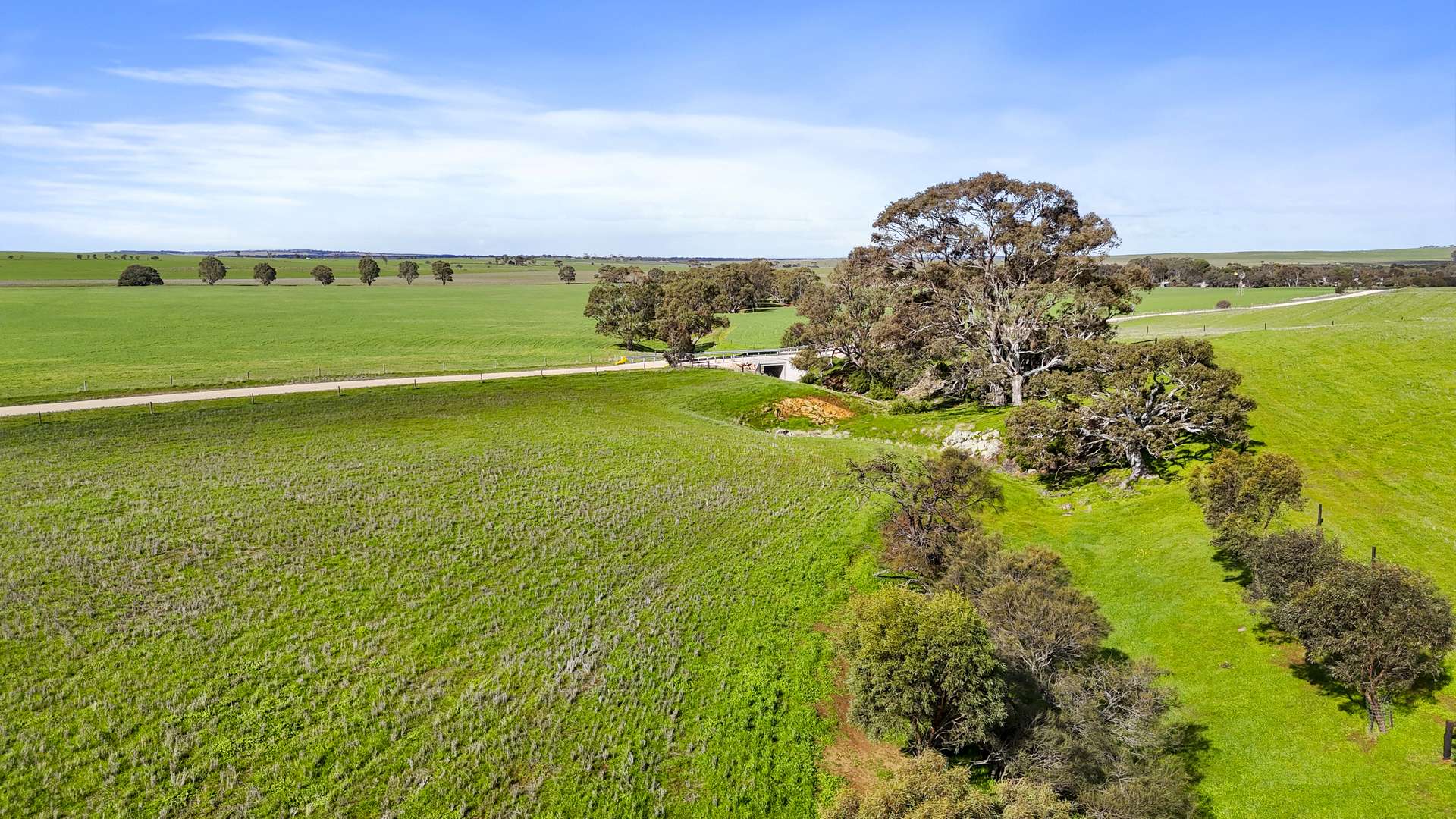 Lot 10 Dalveen & Everley Road, Woodchester Sold by Farmbuy.com - image 12