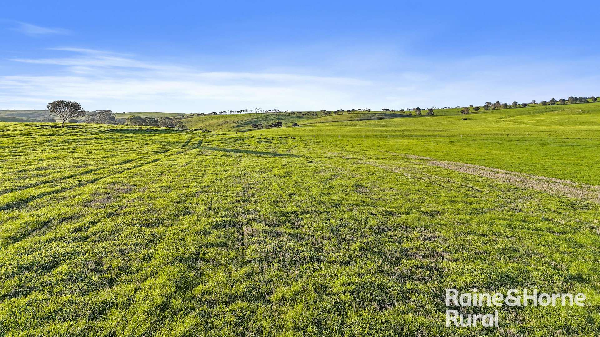 84 Dalveen Road, Woodchester Sold by Farmbuy.com - image 18