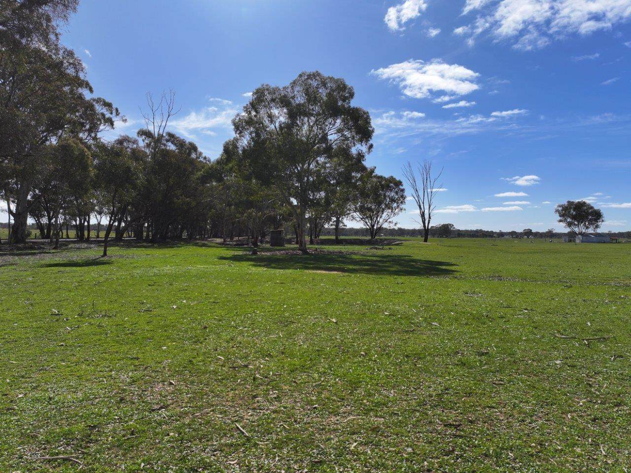 - Arnold West-Inglewood Road, Inglewood Sold by Farmbuy.com - image 3