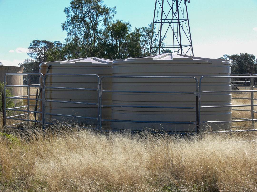 "FOREST VALE", Gurley For Sale by Farmbuy.com - image 11