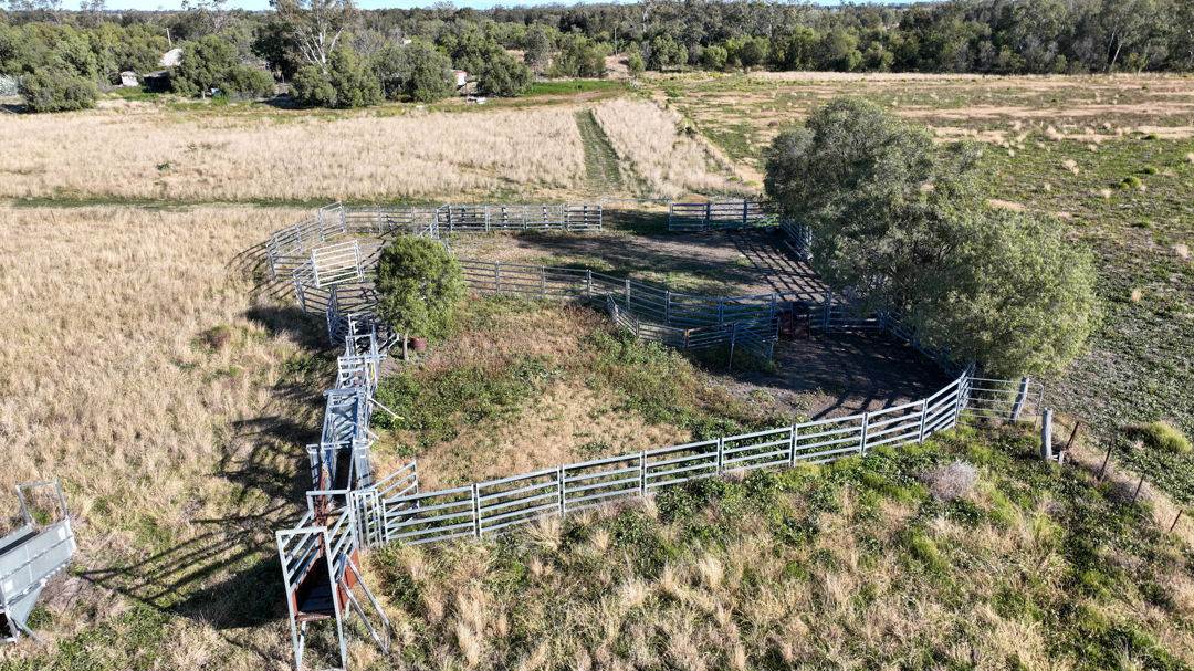 "FOREST VALE", Gurley For Sale by Farmbuy.com - image 19