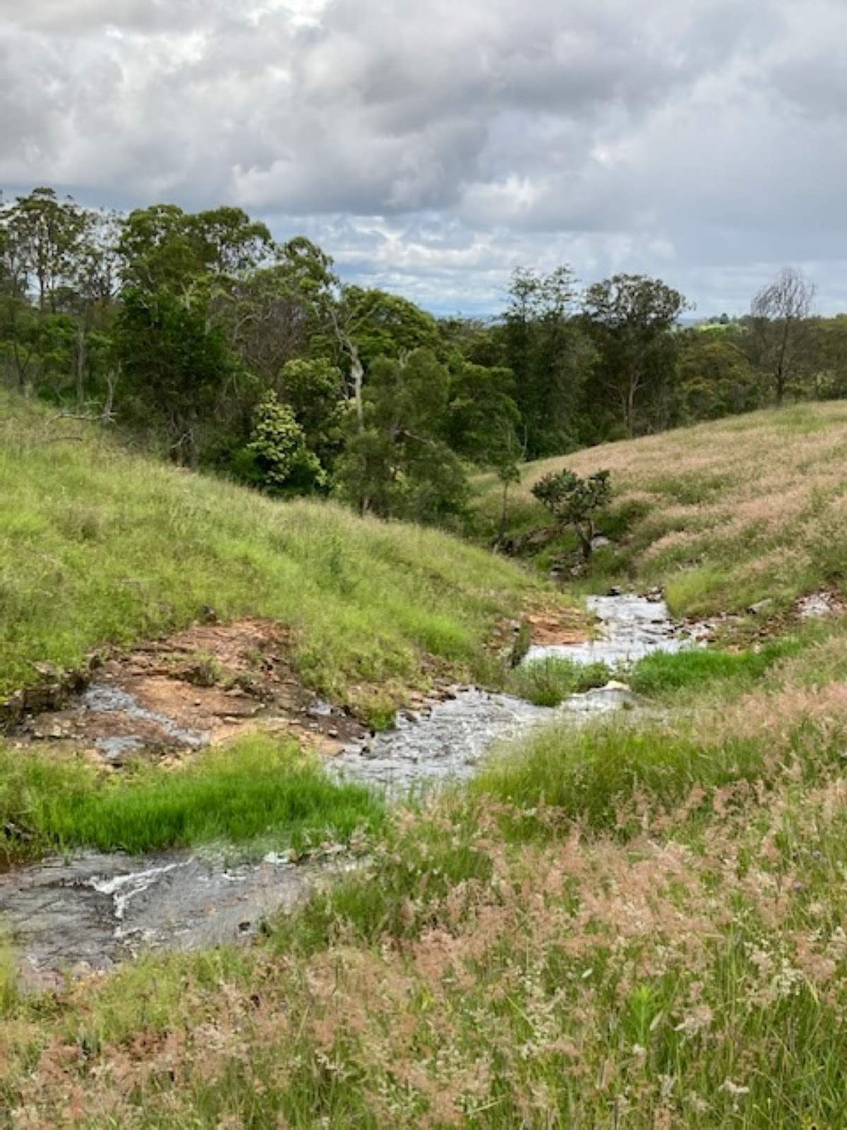 Lot/5 Bald Hills Road, Crows Nest For Sale by Farmbuy.com - image 7