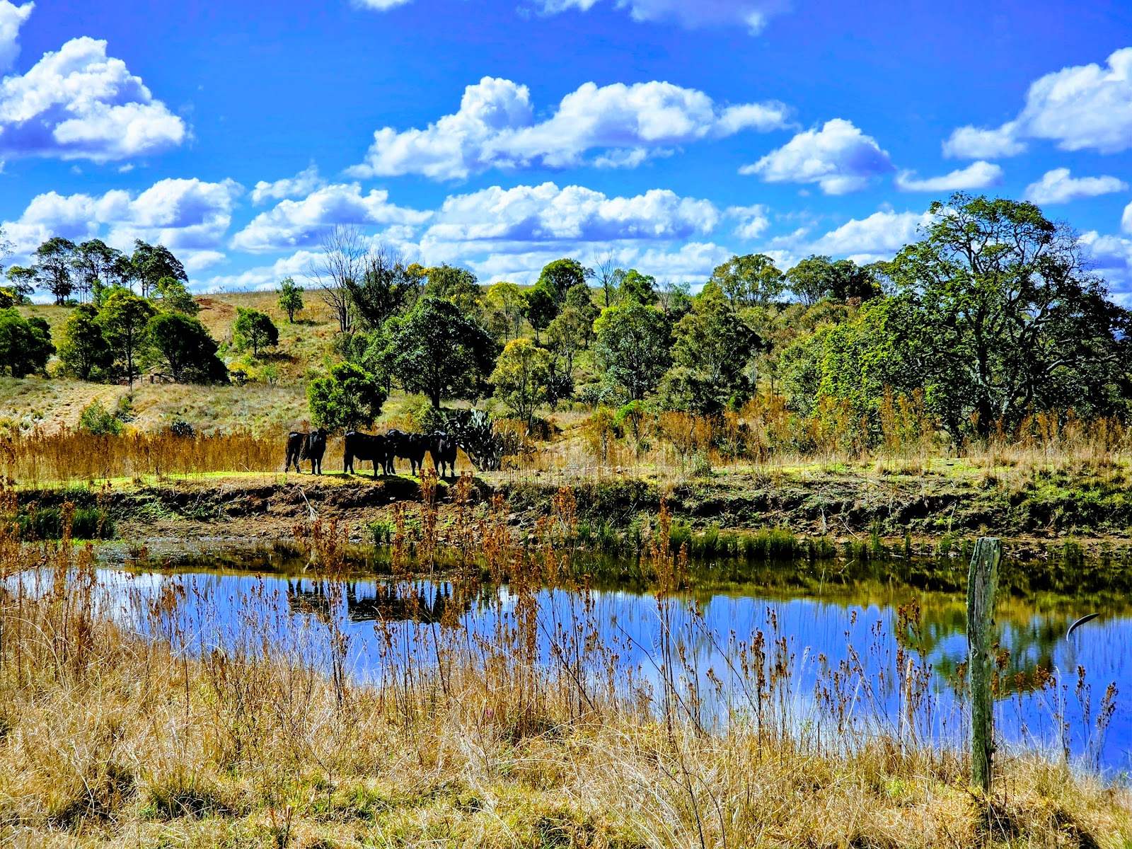 Lot/5 Bald Hills Road, Crows Nest For Sale by Farmbuy.com - image 22