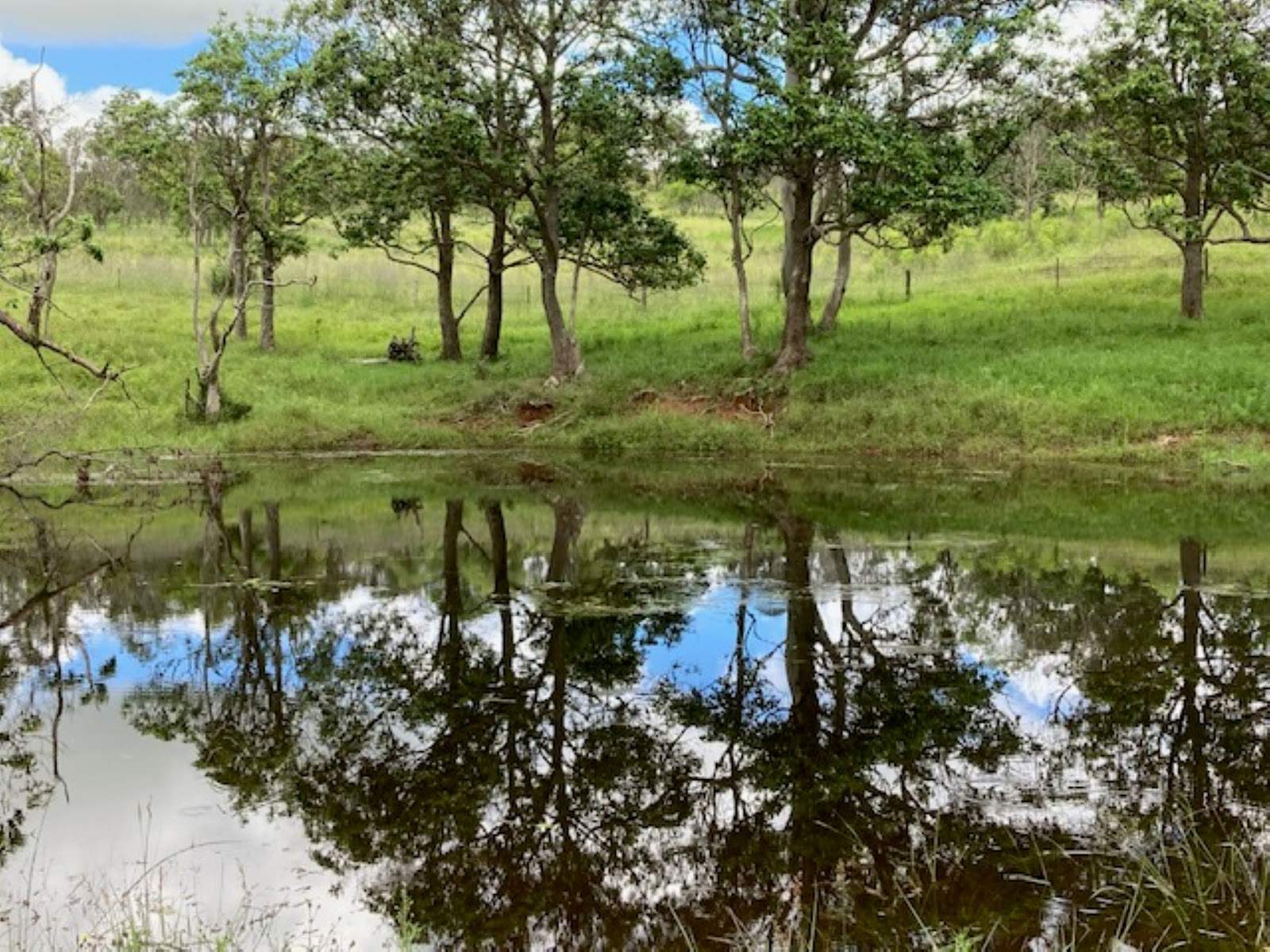 Lot/5 Bald Hills Road, Crows Nest For Sale by Farmbuy.com - image 2