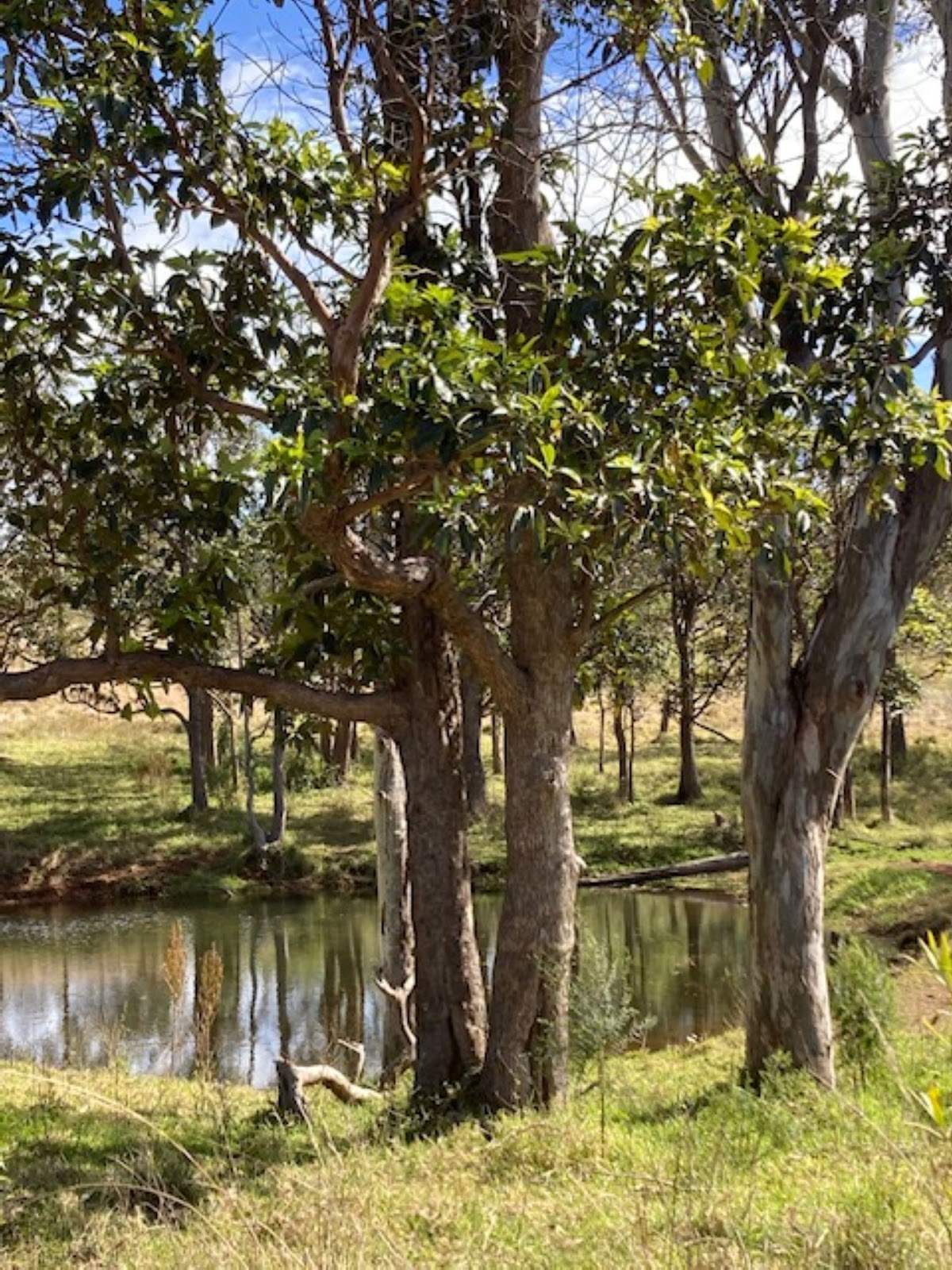 Lot/5 Bald Hills Road, Crows Nest For Sale by Farmbuy.com - image 33