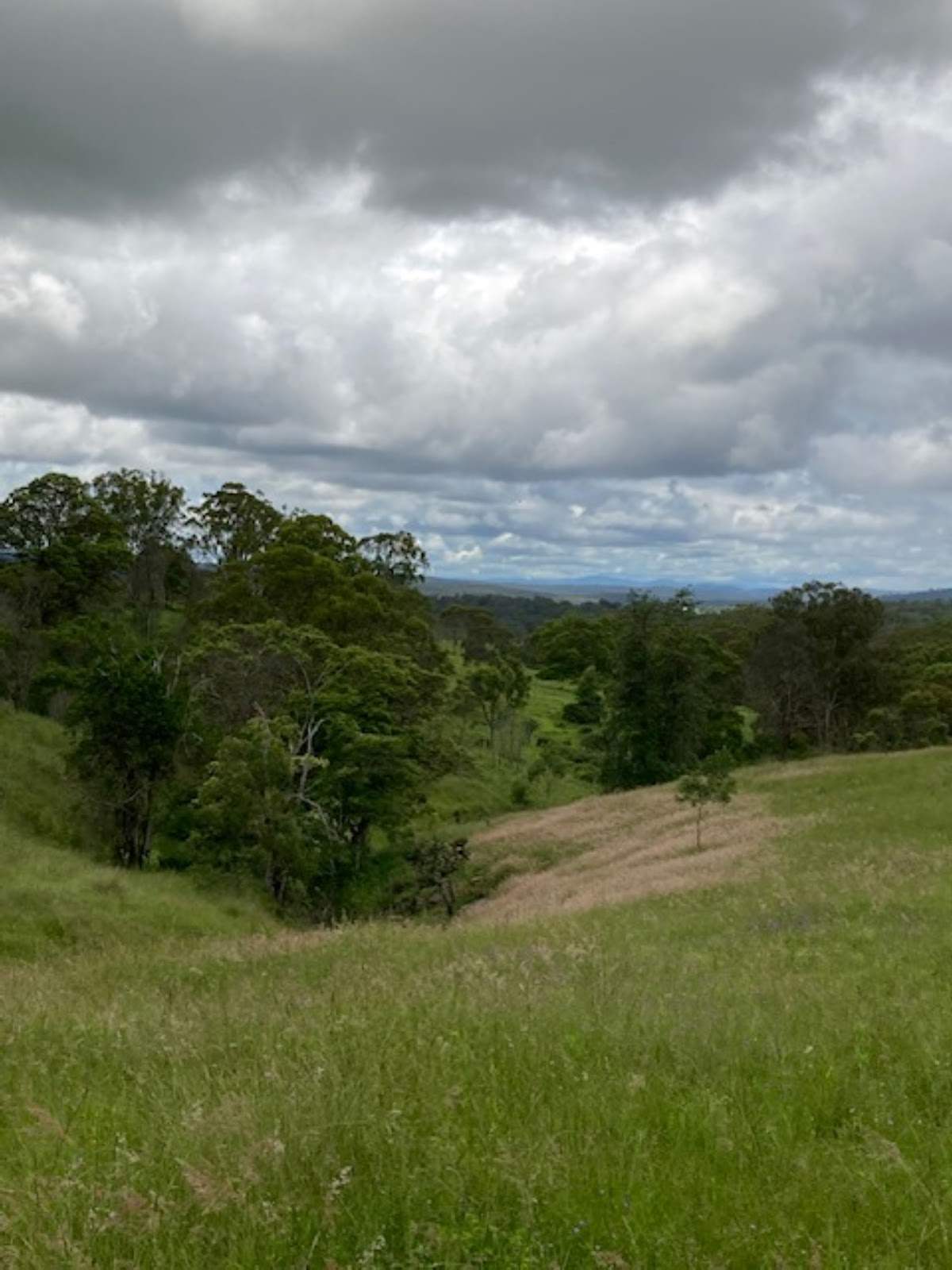 Lot/5 Bald Hills Road, Crows Nest For Sale by Farmbuy.com - image 8