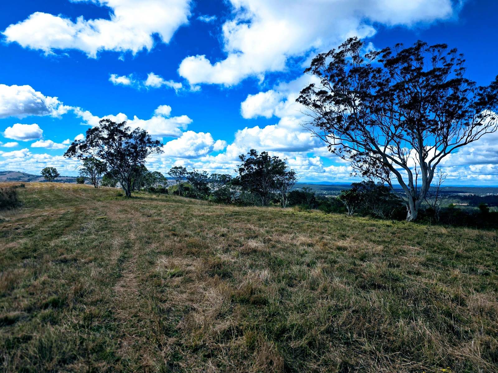 Lot/5 Bald Hills Road, Crows Nest For Sale by Farmbuy.com - image 29