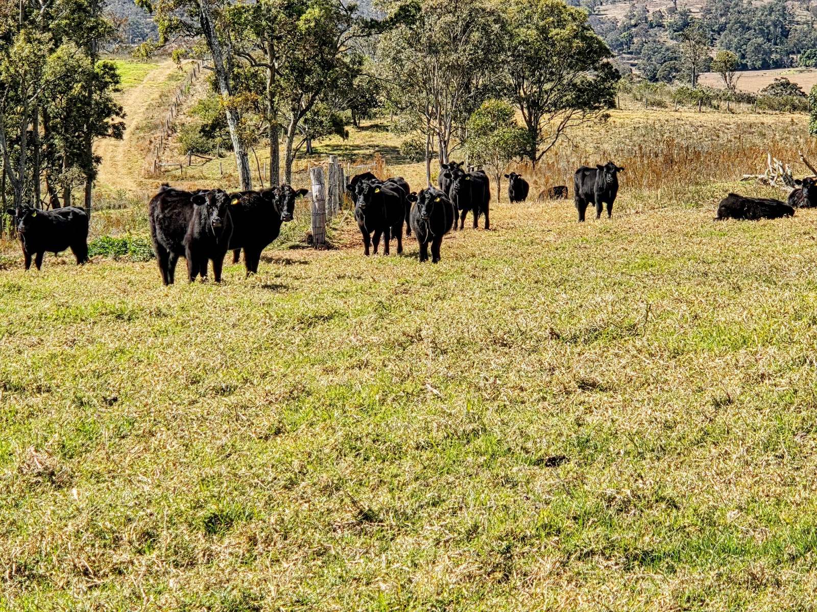 Lot/5 Bald Hills Road, Crows Nest For Sale by Farmbuy.com - image 28