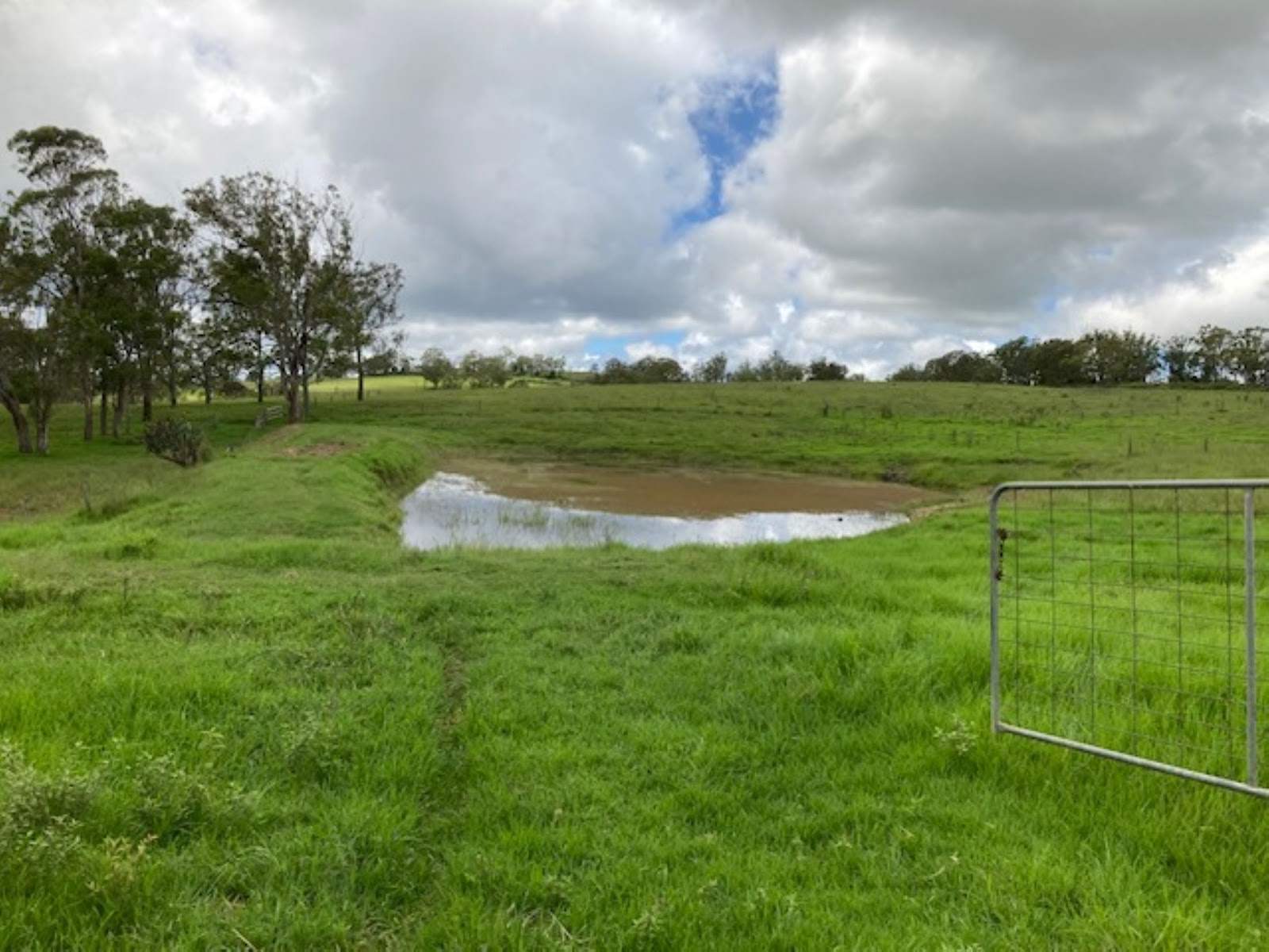 Lot/5 Bald Hills Road, Crows Nest For Sale by Farmbuy.com - image 9