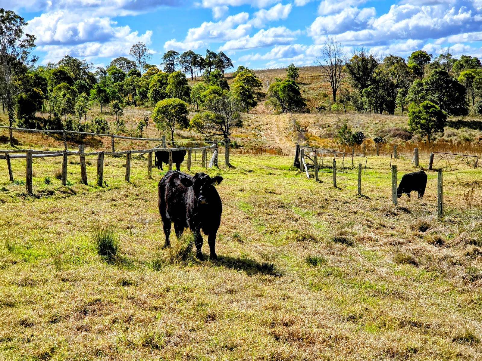 Lot/5 Bald Hills Road, Crows Nest For Sale by Farmbuy.com - image 35