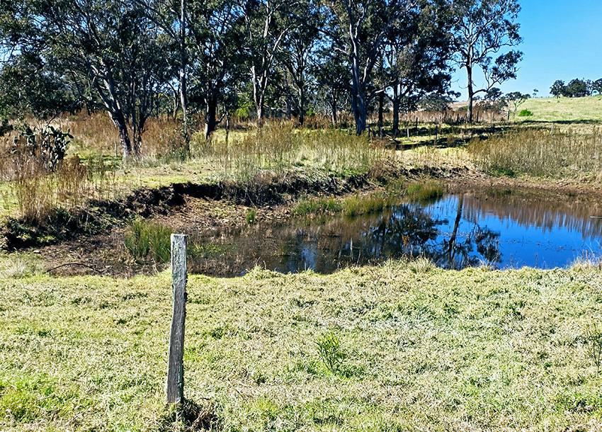 Lot/5 Bald Hills Road, Crows Nest For Sale by Farmbuy.com - image 17