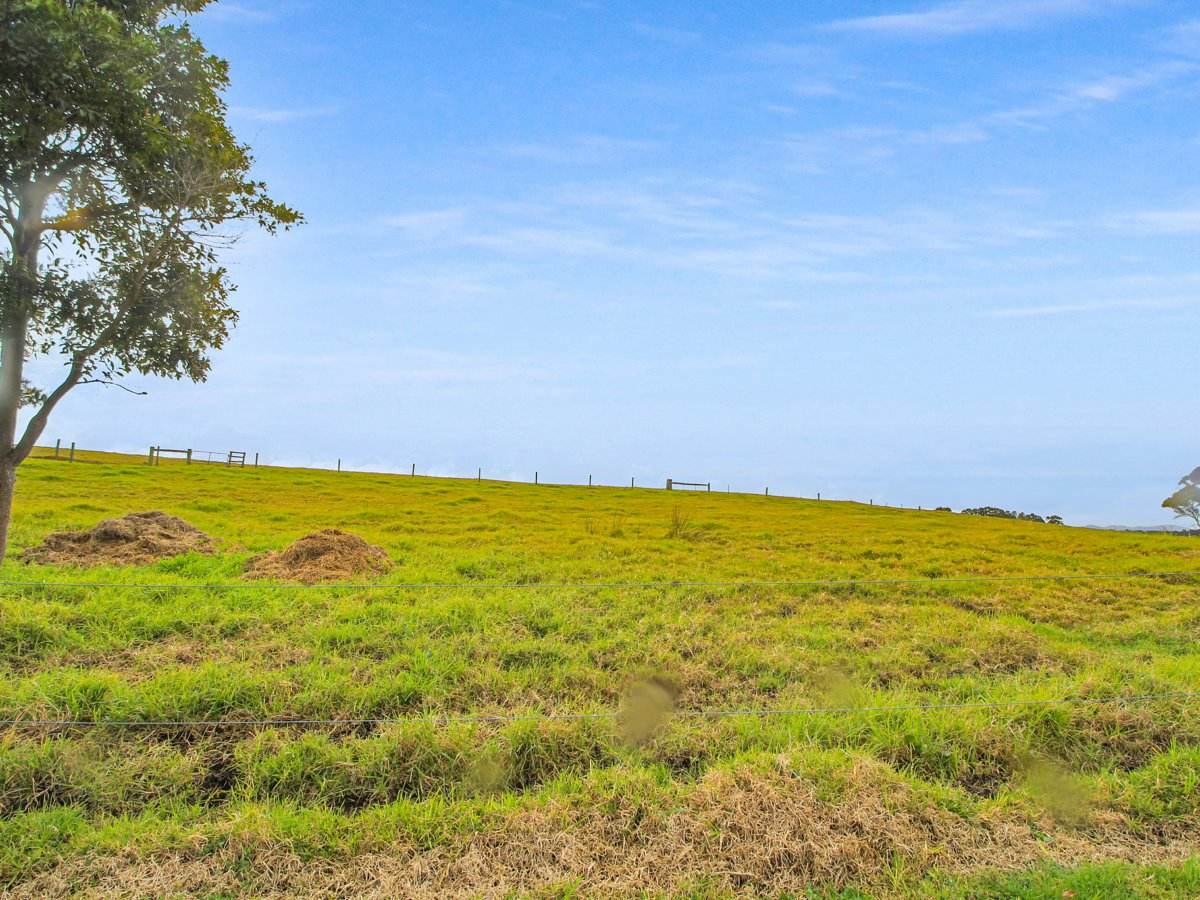 473 Princes Highway, Orbost For Sale by Farmbuy.com - image 21
