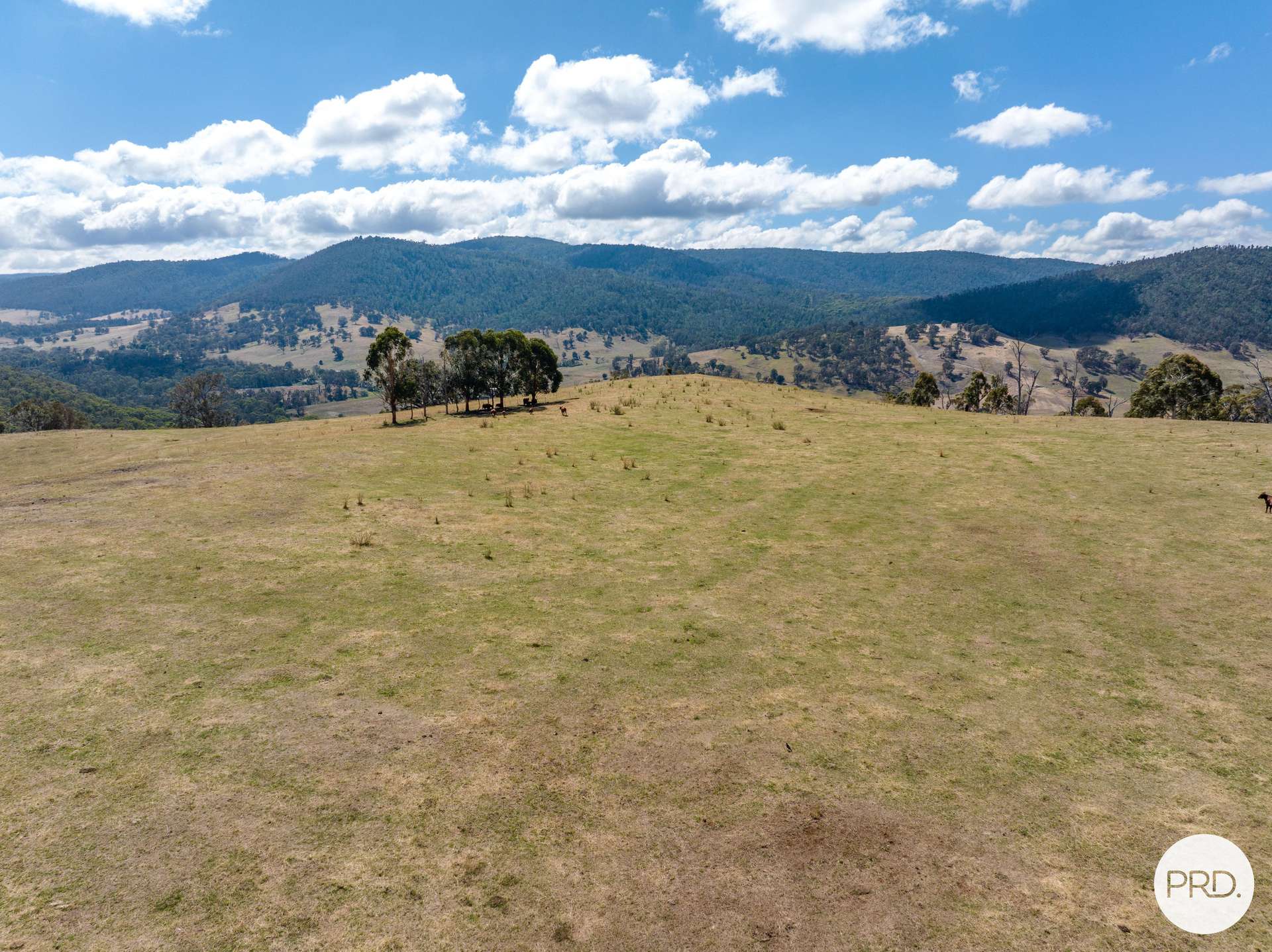 1100 Batlow Road, Tumbarumba For Sale by Farmbuy.com - image 29