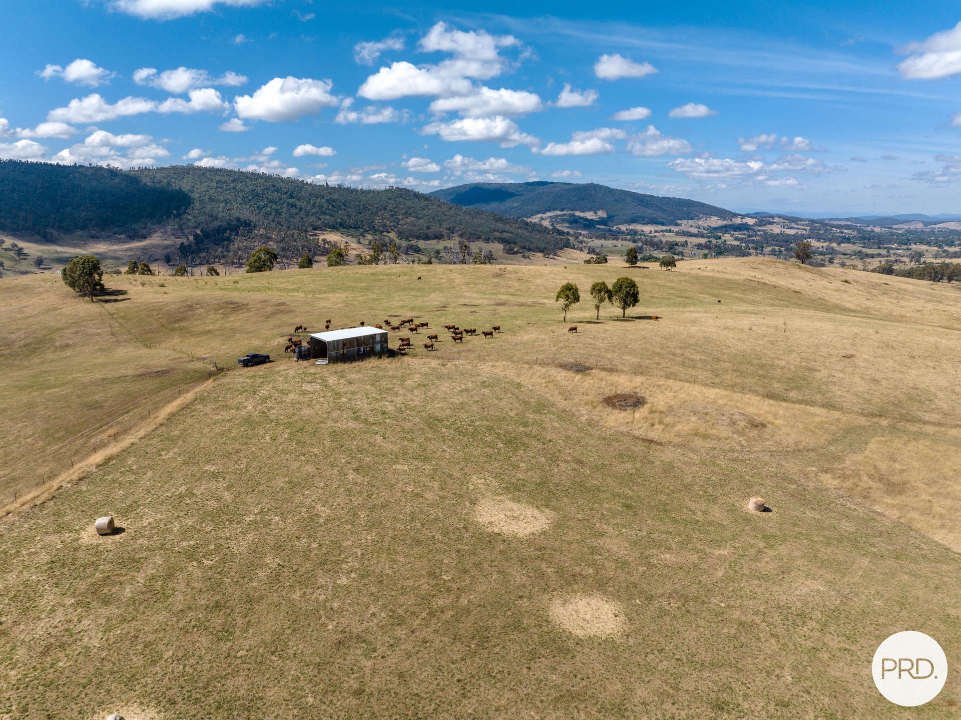 1100 Batlow Road, Tumbarumba For Sale by Farmbuy.com - image 3