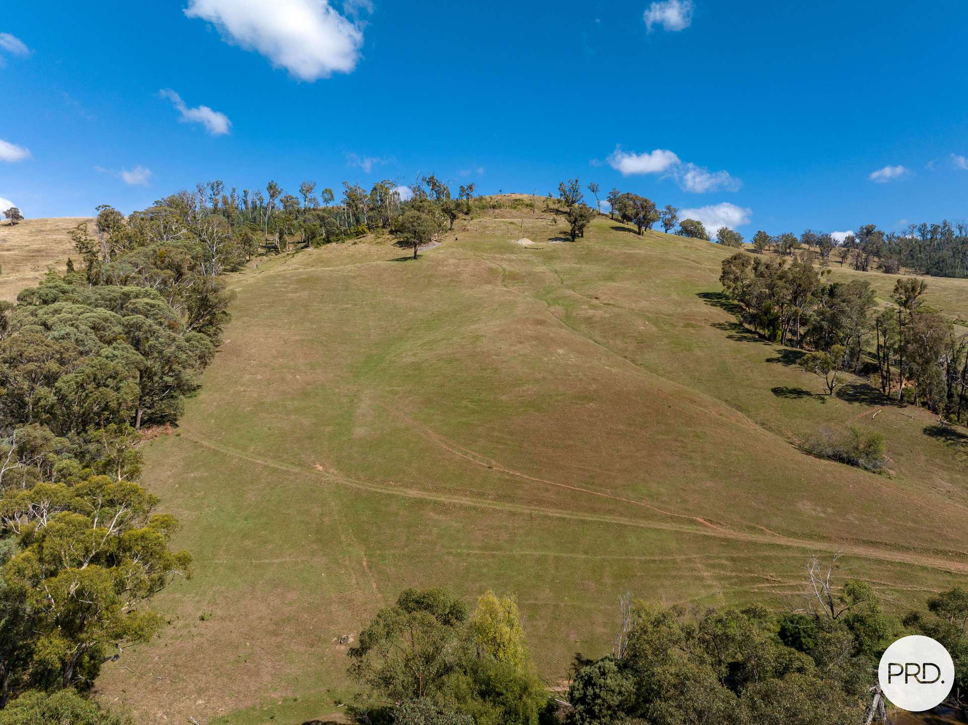 1100 Batlow Road, Tumbarumba For Sale by Farmbuy.com - image 23