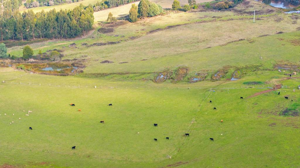 65 Pumps Road, Callignee VIC 3844