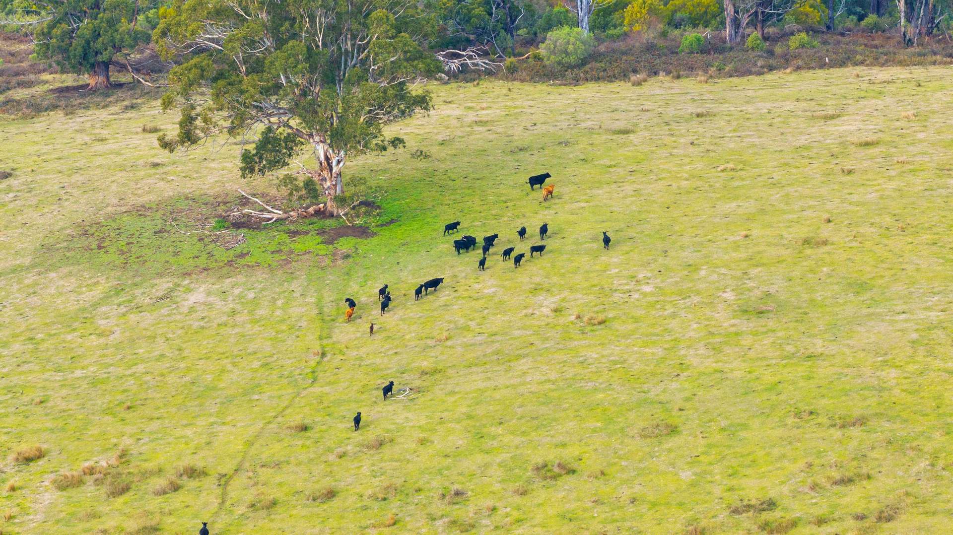 65 Pumps Road, Callignee Sold by Farmbuy.com - image 3