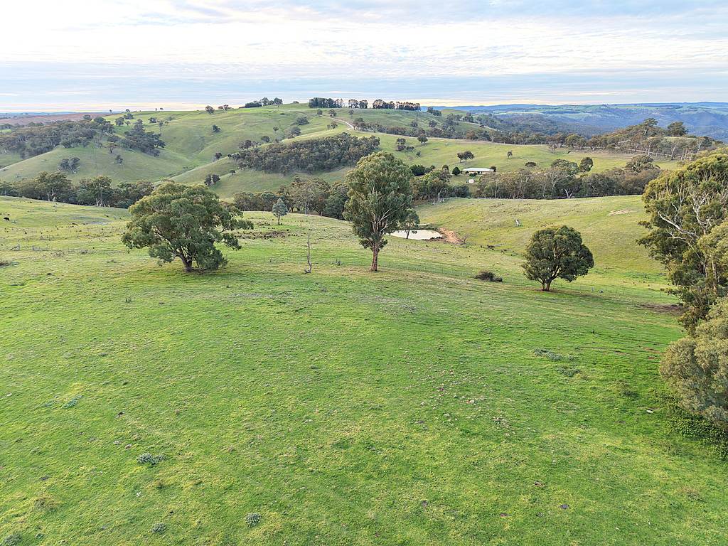 117 Savilles Road, Golspie NSW 2580