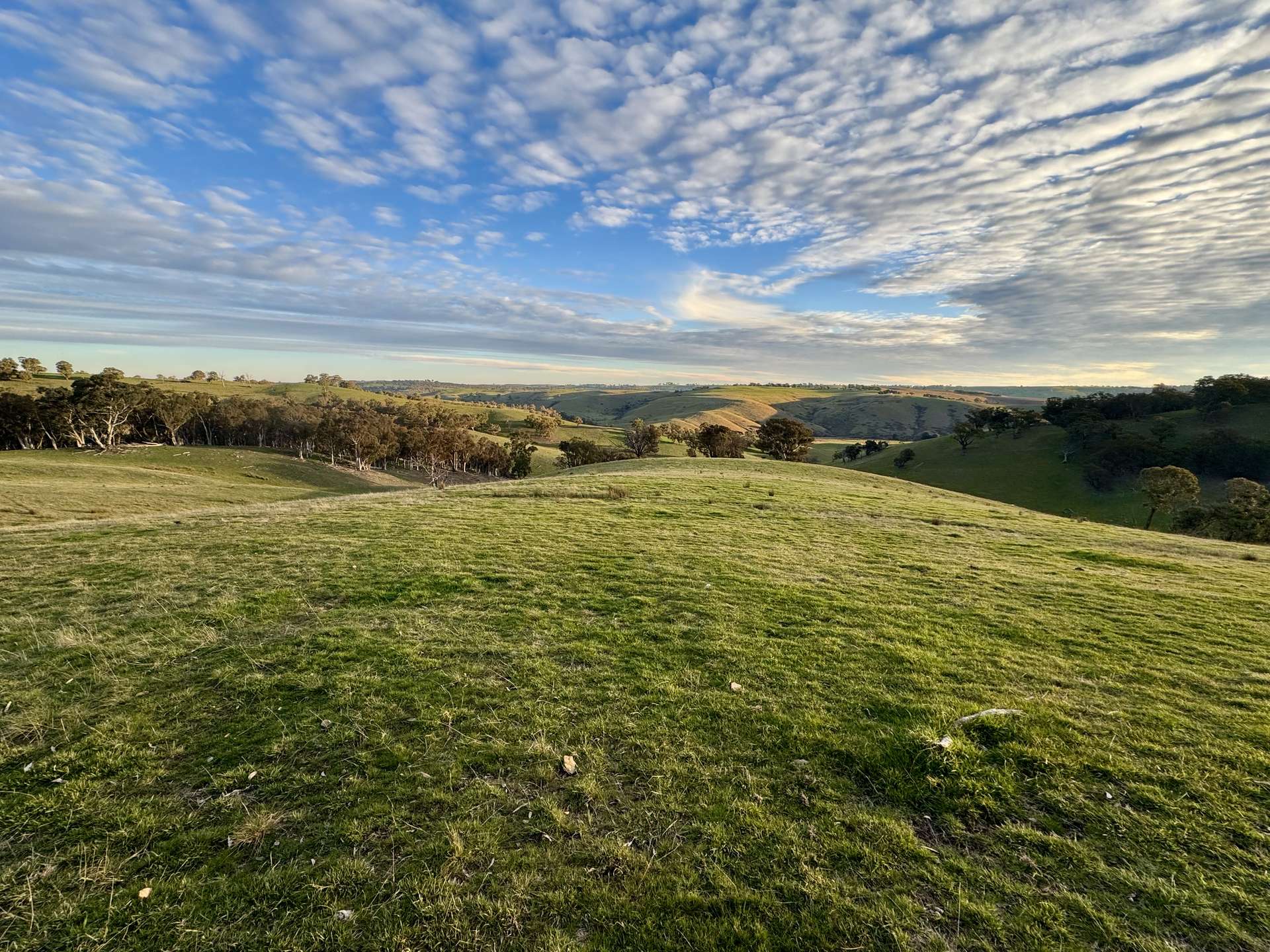 117 Savilles Road, Golspie For Sale by Farmbuy.com - image 11