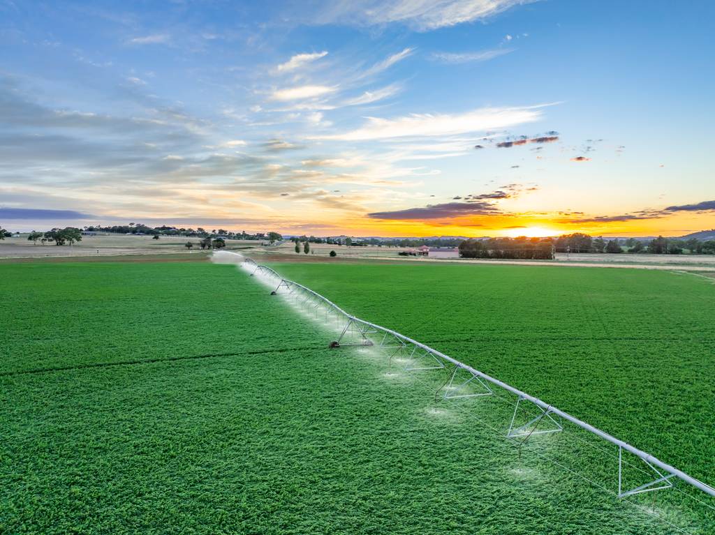 349 Nangar Road, Canowindra NSW 2804
