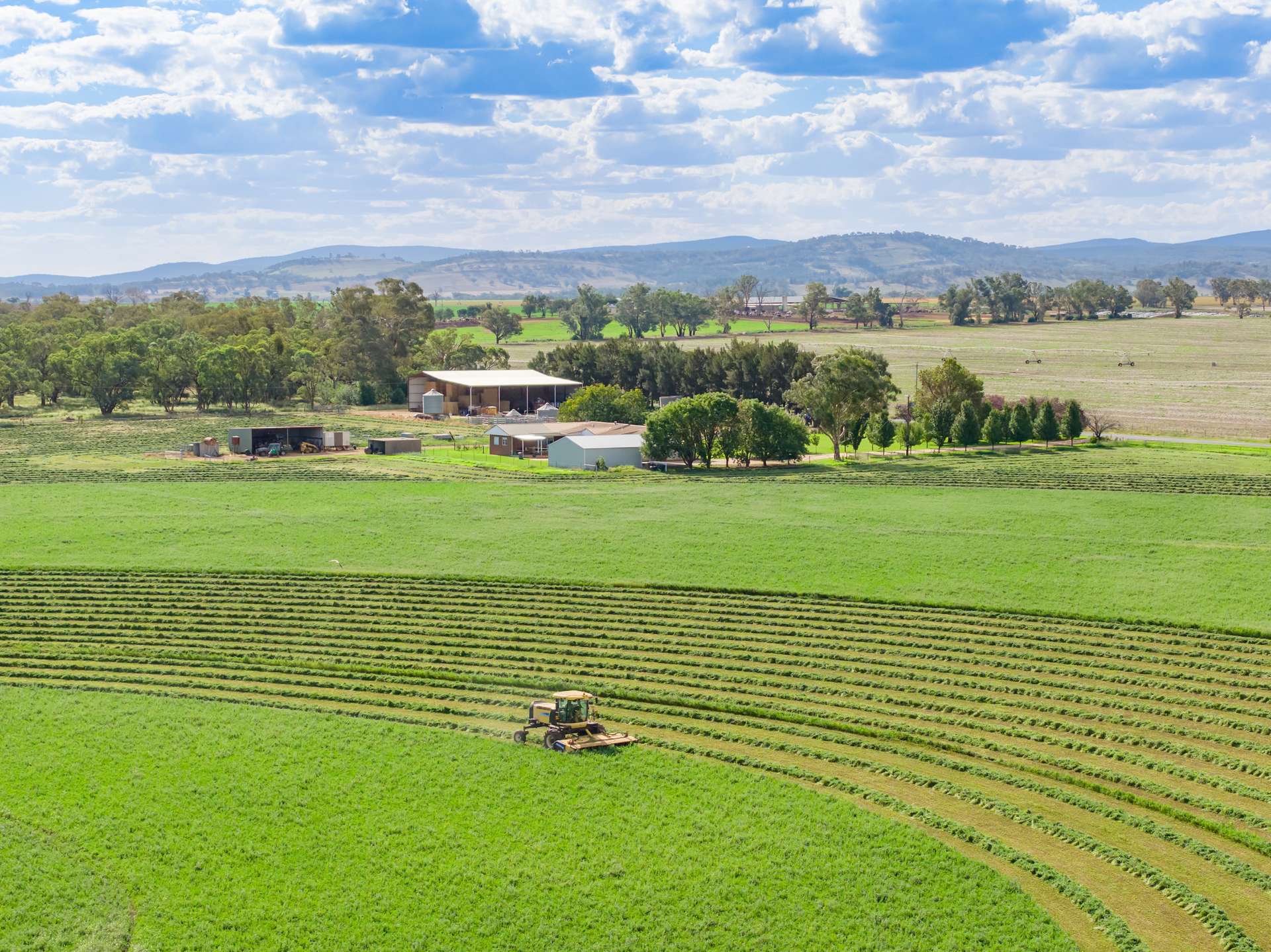 349 Nangar Road, Canowindra For Sale by Farmbuy.com - image 4