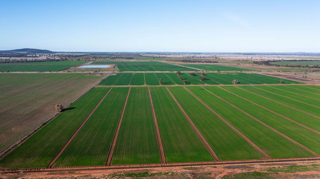 Sandy Camp & Kimaroi&comma; Sandy Camp Road, Condobolin NSW 2877