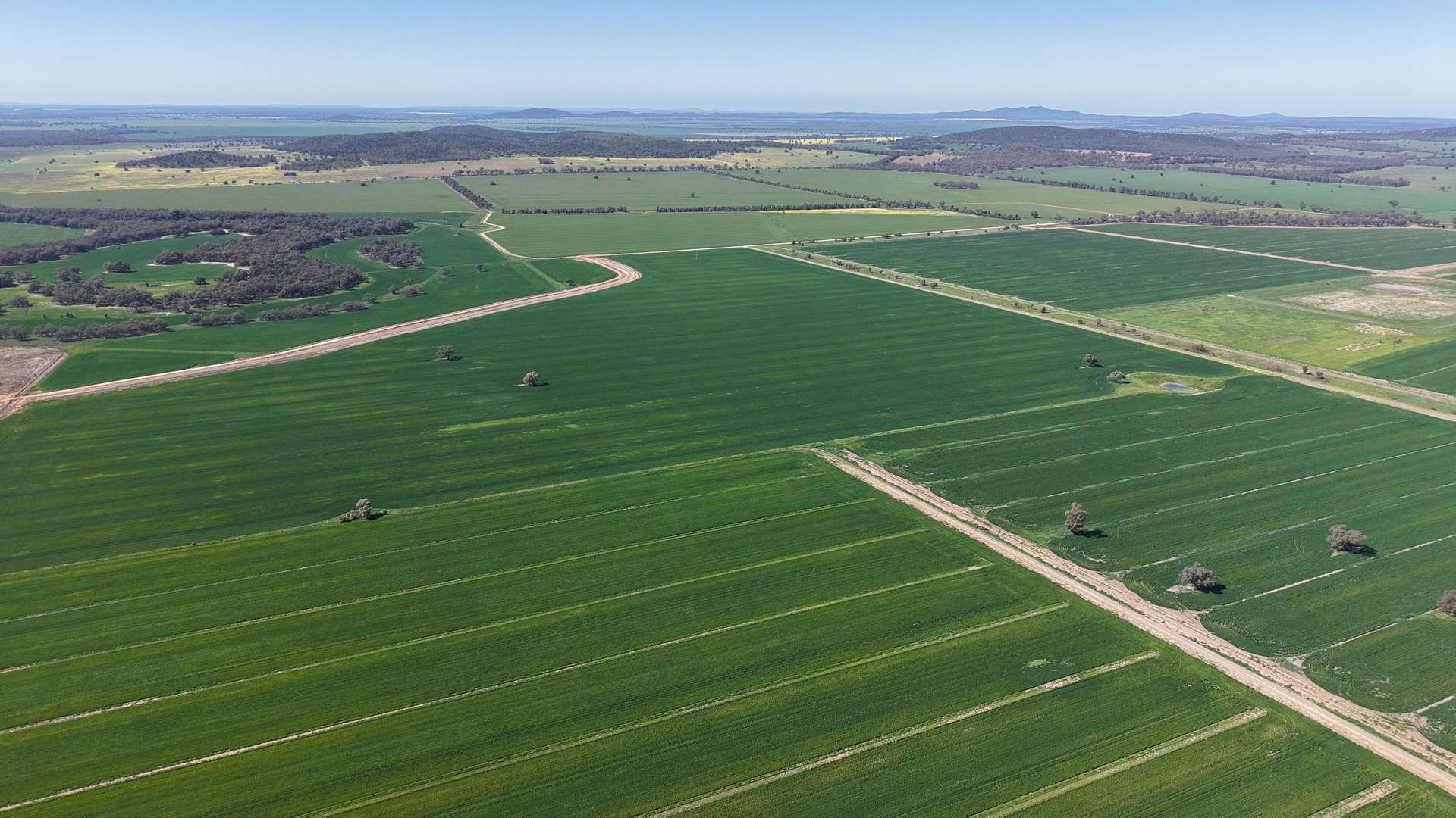 Sandy Camp & Kimaroi, Sandy Camp Road, Condobolin For Sale by Farmbuy.com - image 1