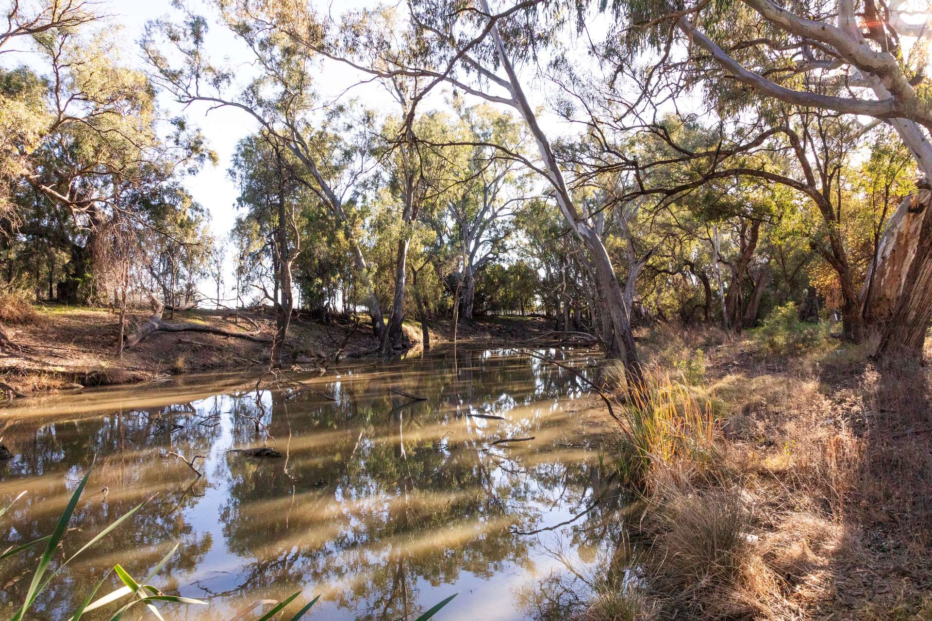 Sandy Camp & Kimaroi, Sandy Camp Road, Condobolin For Sale by Farmbuy.com - image 16