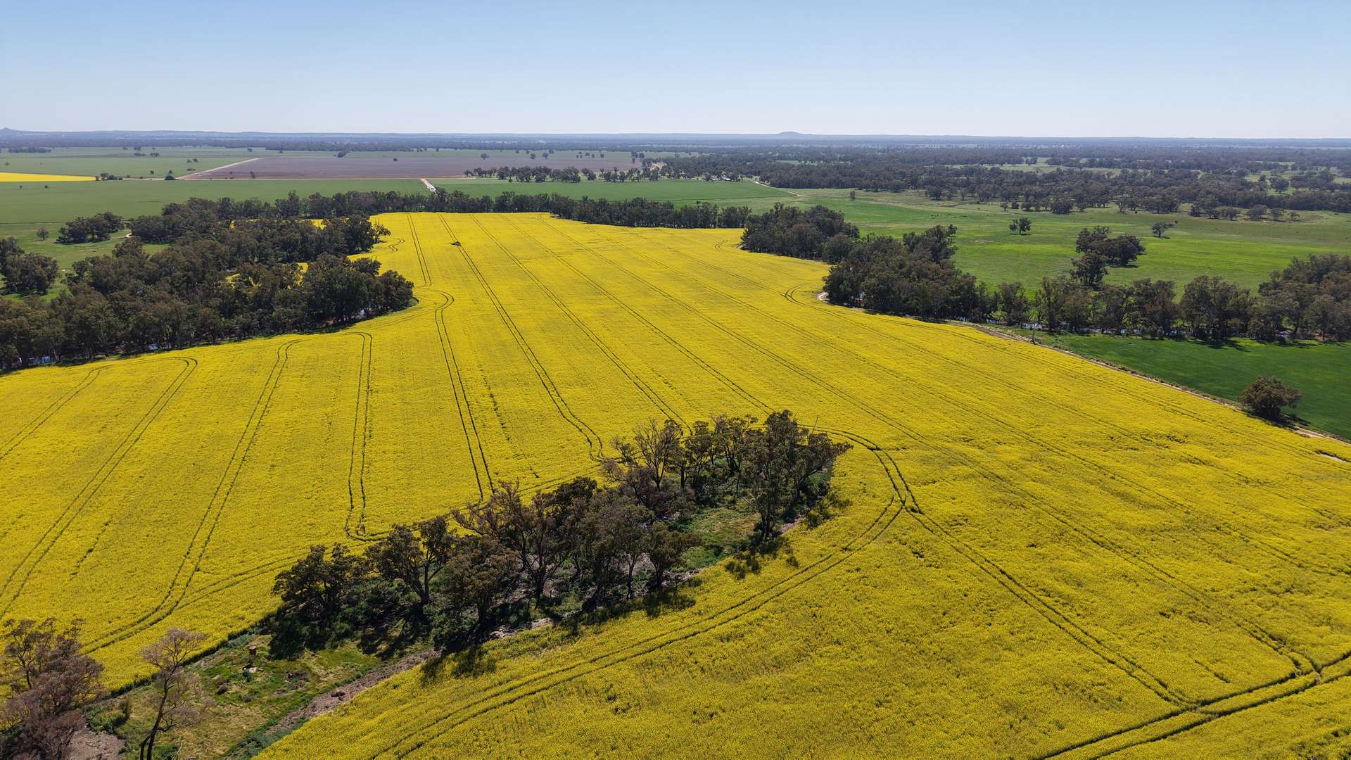 Sandy Camp & Kimaroi, Sandy Camp Road, Condobolin For Sale by Farmbuy.com - image 6