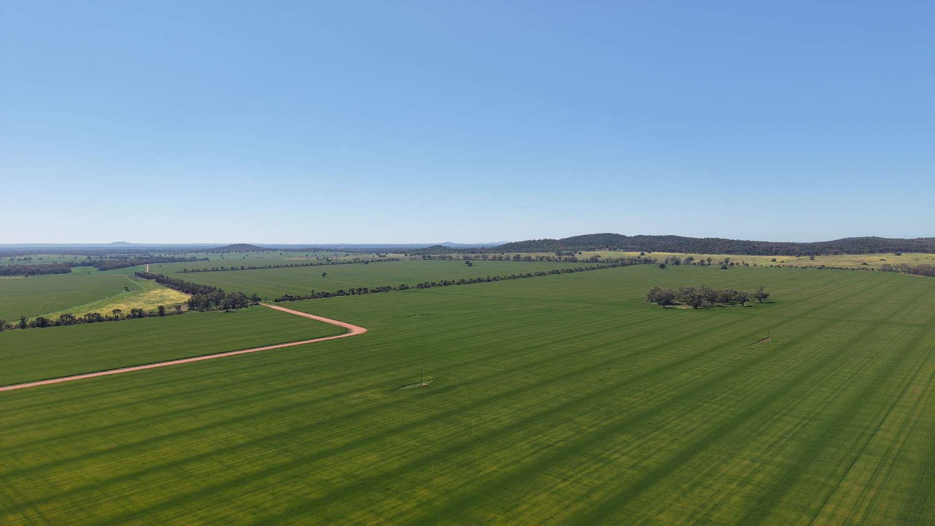 Sandy Camp & Kimaroi, Sandy Camp Road, Condobolin For Sale by Farmbuy.com - image 2