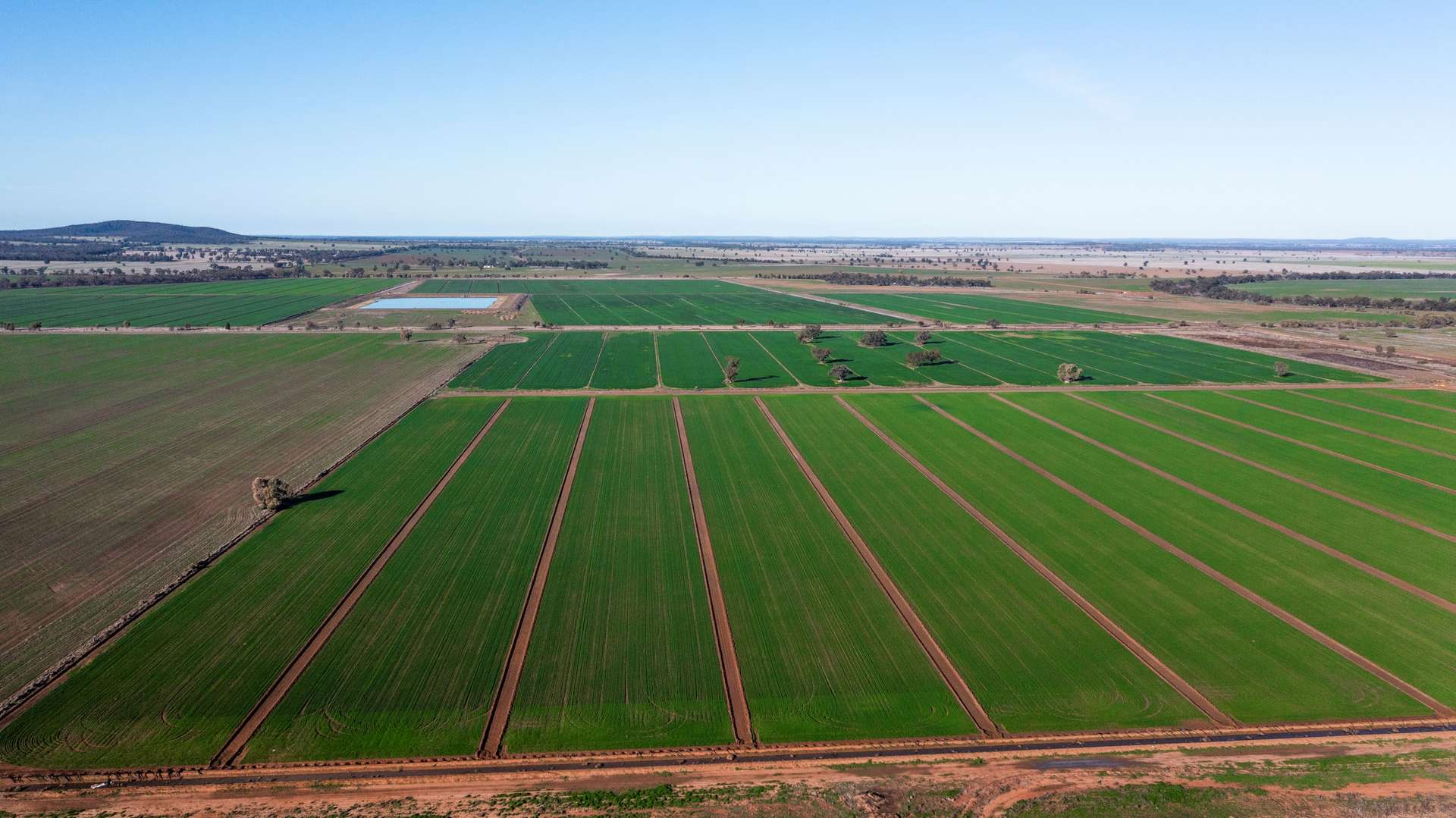 Sandy Camp & Kimaroi, Sandy Camp Road, Condobolin For Sale by Farmbuy.com - image 3
