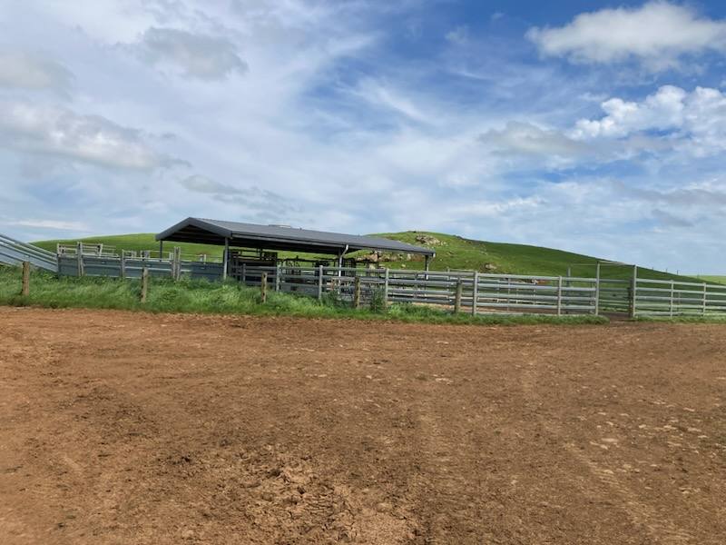 66 Kings Road, Redpa For Sale by Farmbuy.com - image 2
