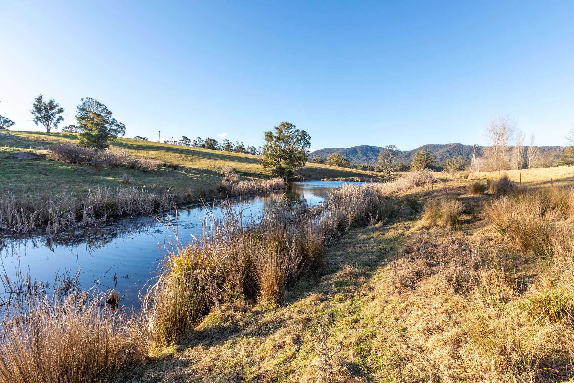166 Green Hill Lane, Wyndham For Sale by Farmbuy.com - image 19