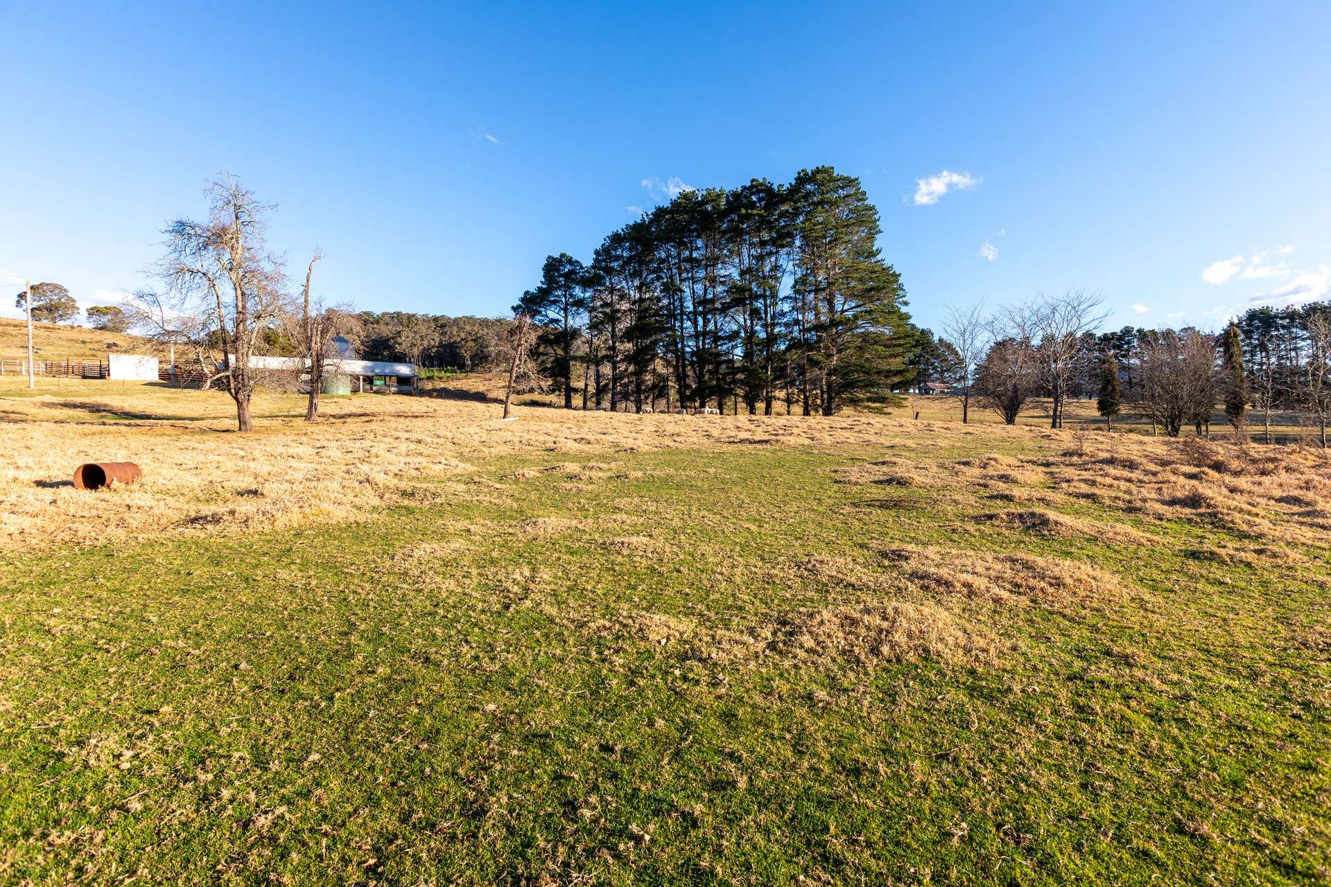 166 Green Hill Lane, Wyndham For Sale by Farmbuy.com - image 20