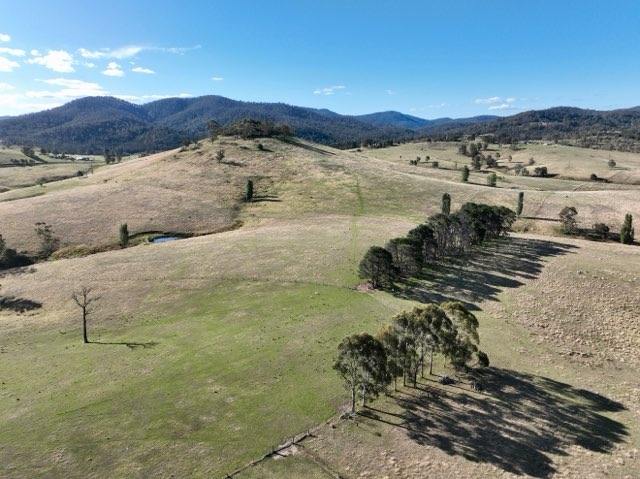 166 Green Hill Lane, Wyndham For Sale by Farmbuy.com - image 22