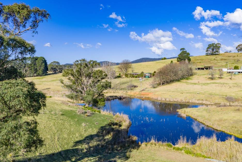 166 Green Hill Lane, Wyndham For Sale by Farmbuy.com - image 14