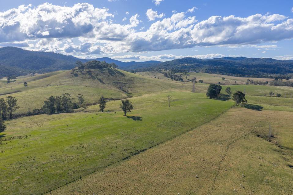 166 Green Hill Lane, Wyndham For Sale by Farmbuy.com - image 15