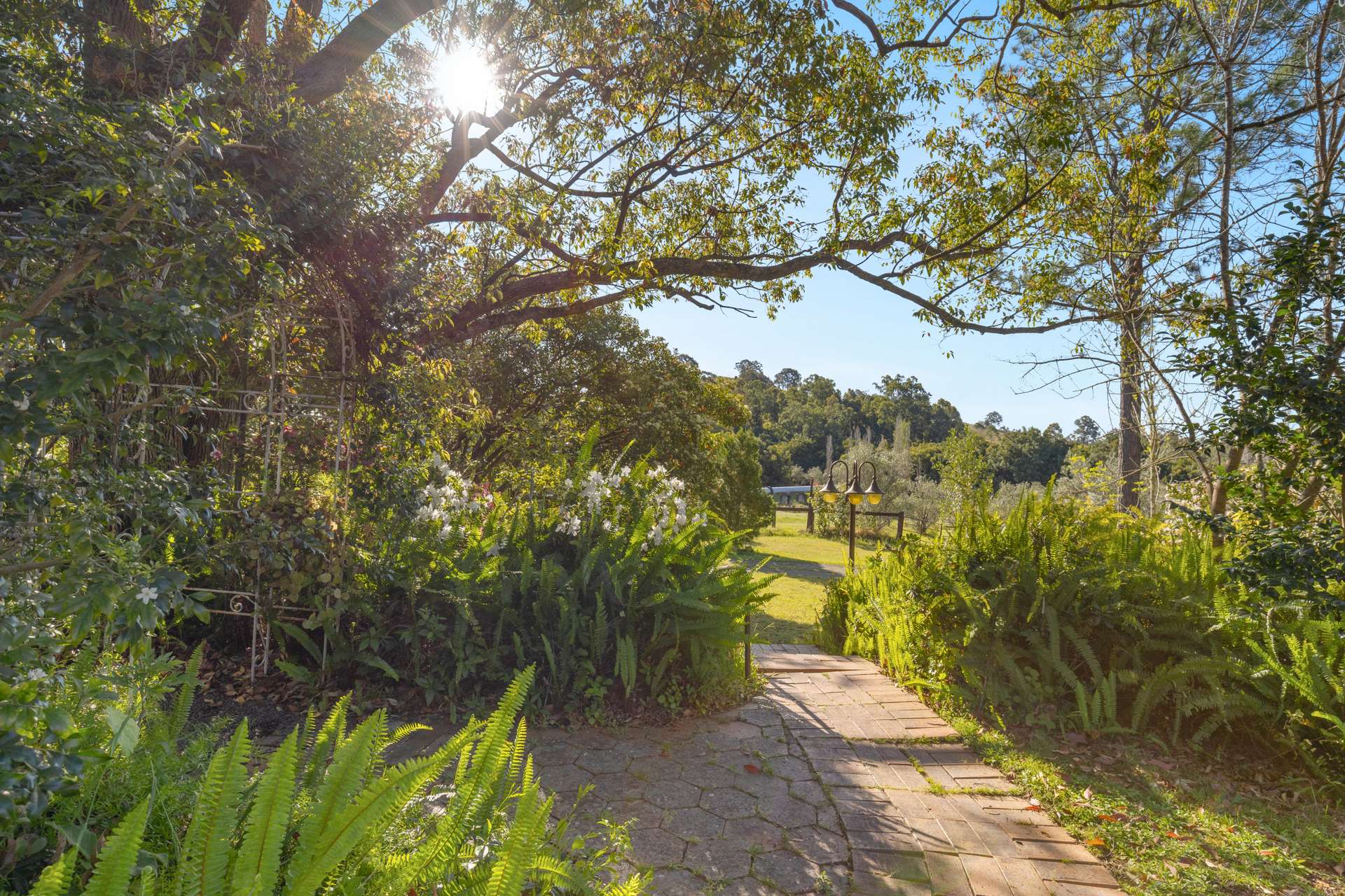 Lot 123 Chichester Dam Road, Dungog Sold by Farmbuy.com - image 25