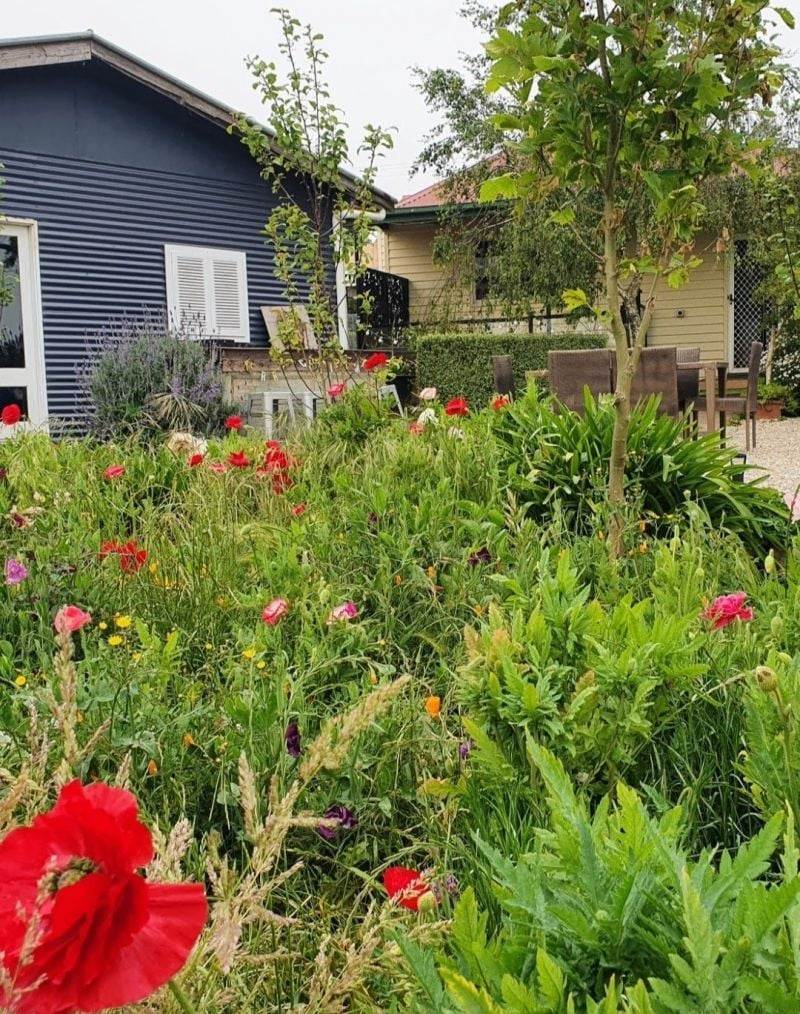 1219 BALLARAT DAYLESFORD Road, Dean Sold by Farmbuy.com - image 20
