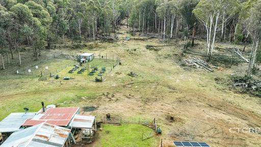 1695 Bendoc-Orbost Road, Bendoc VIC 3888