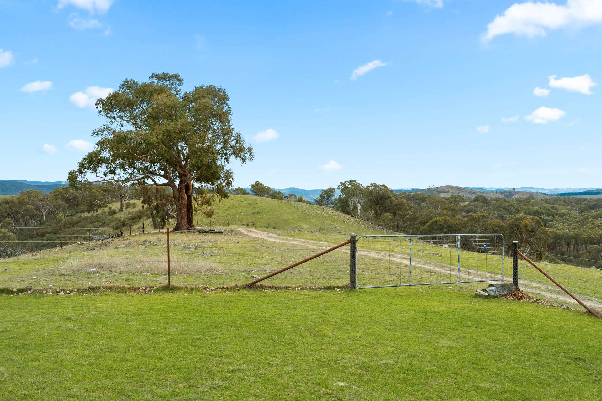 505 Wangalo Road, Peelwood For Sale by Farmbuy.com - image 17