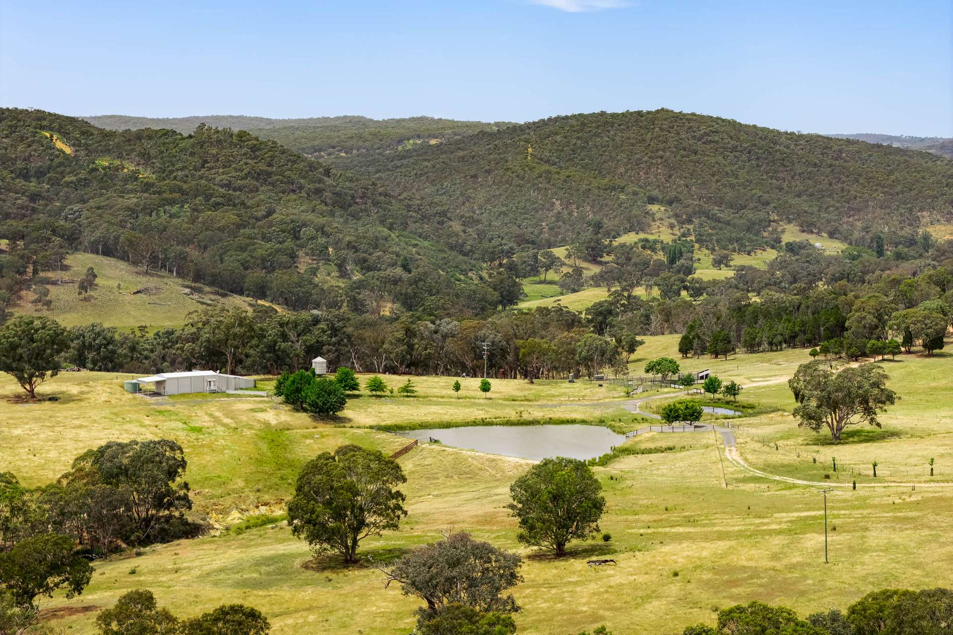 505 Wangalo Road, Peelwood For Sale by Farmbuy.com - image 23