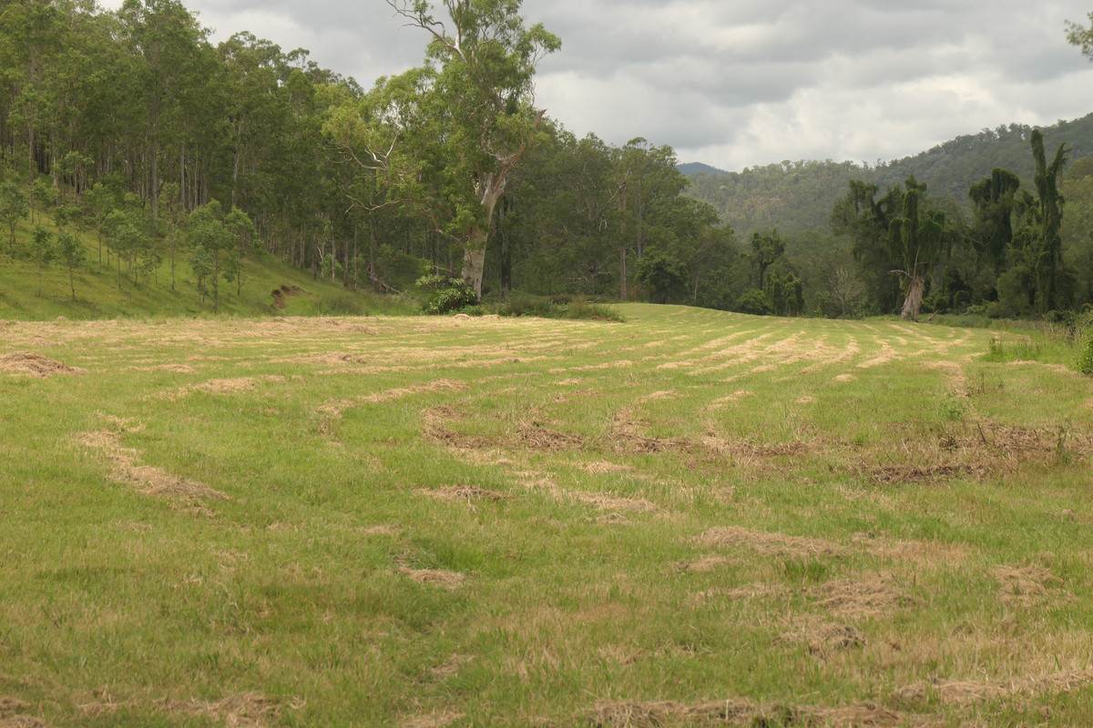 Lot 30, 2058 Rocky River Road, Rocky River Sold by Farmbuy.com - image 2