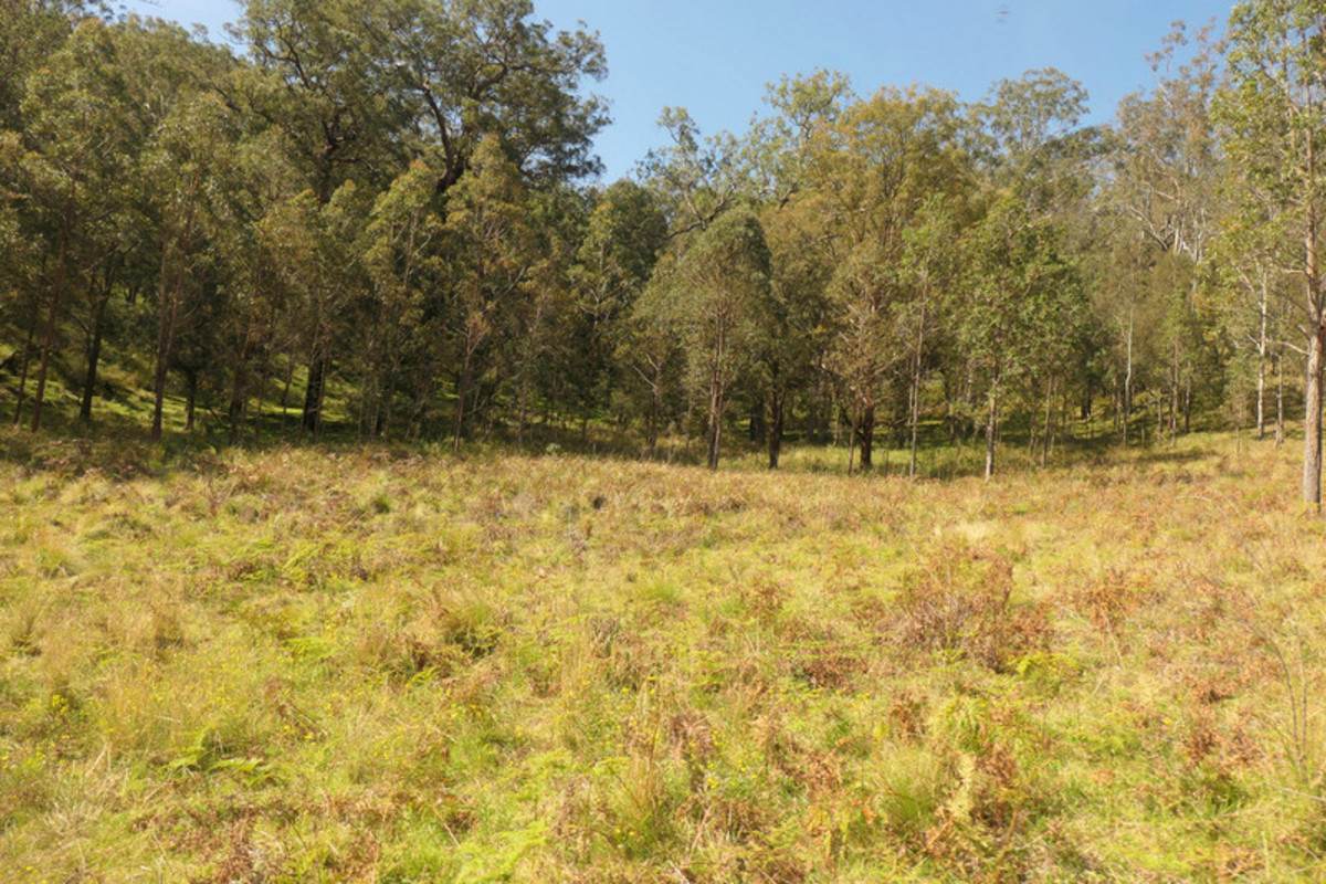 Lot 30, 2058 Rocky River Road, Rocky River Sold by Farmbuy.com - image 17