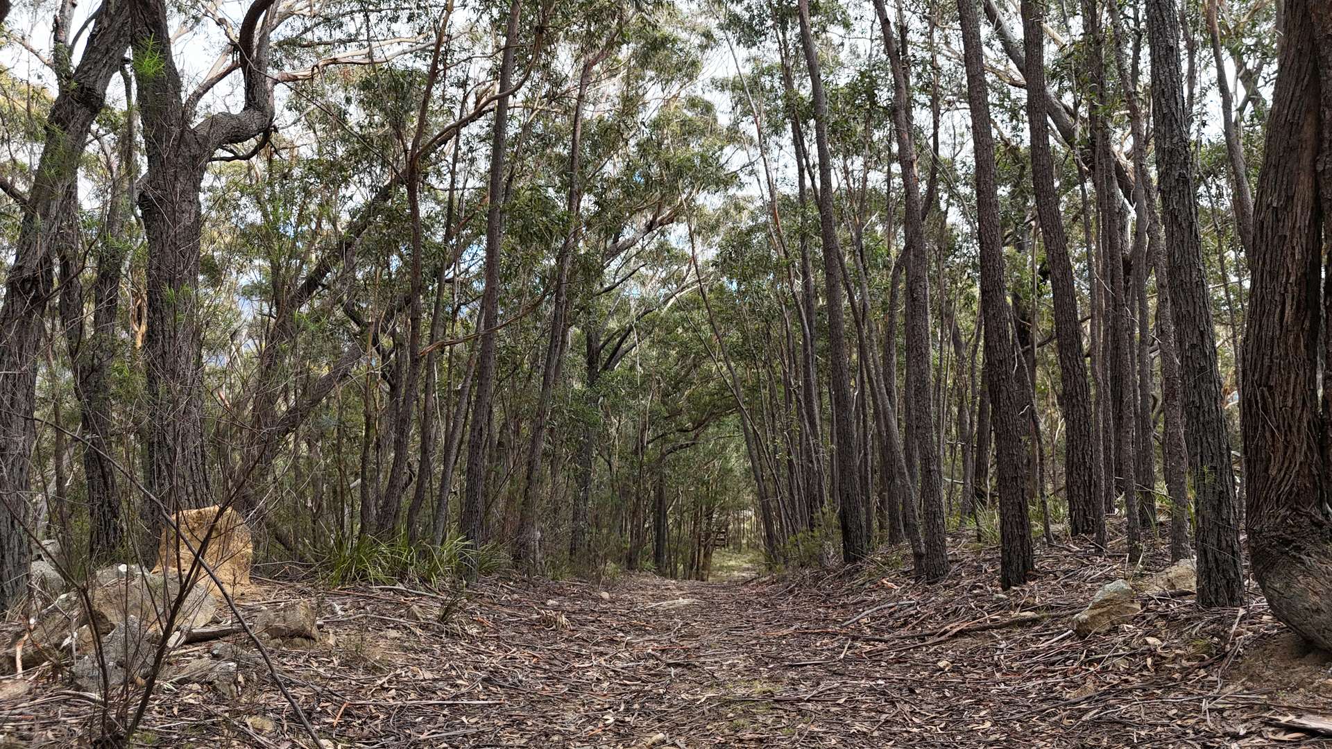 102 Kain Cross Road, Braidwood For Sale by Farmbuy.com - image 17