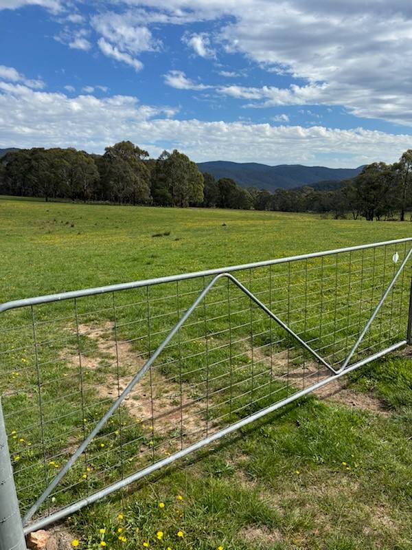 102 Kain Cross Road, Braidwood For Sale by Farmbuy.com - image 2