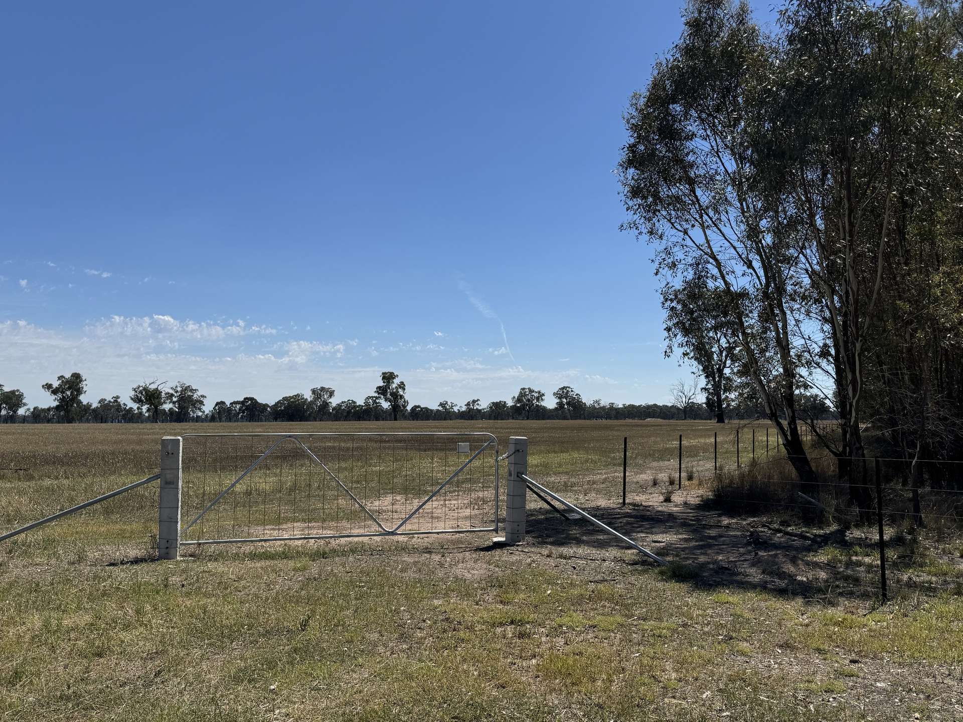 740 Boland Road, Boorhaman For Sale by Farmbuy.com - image 24