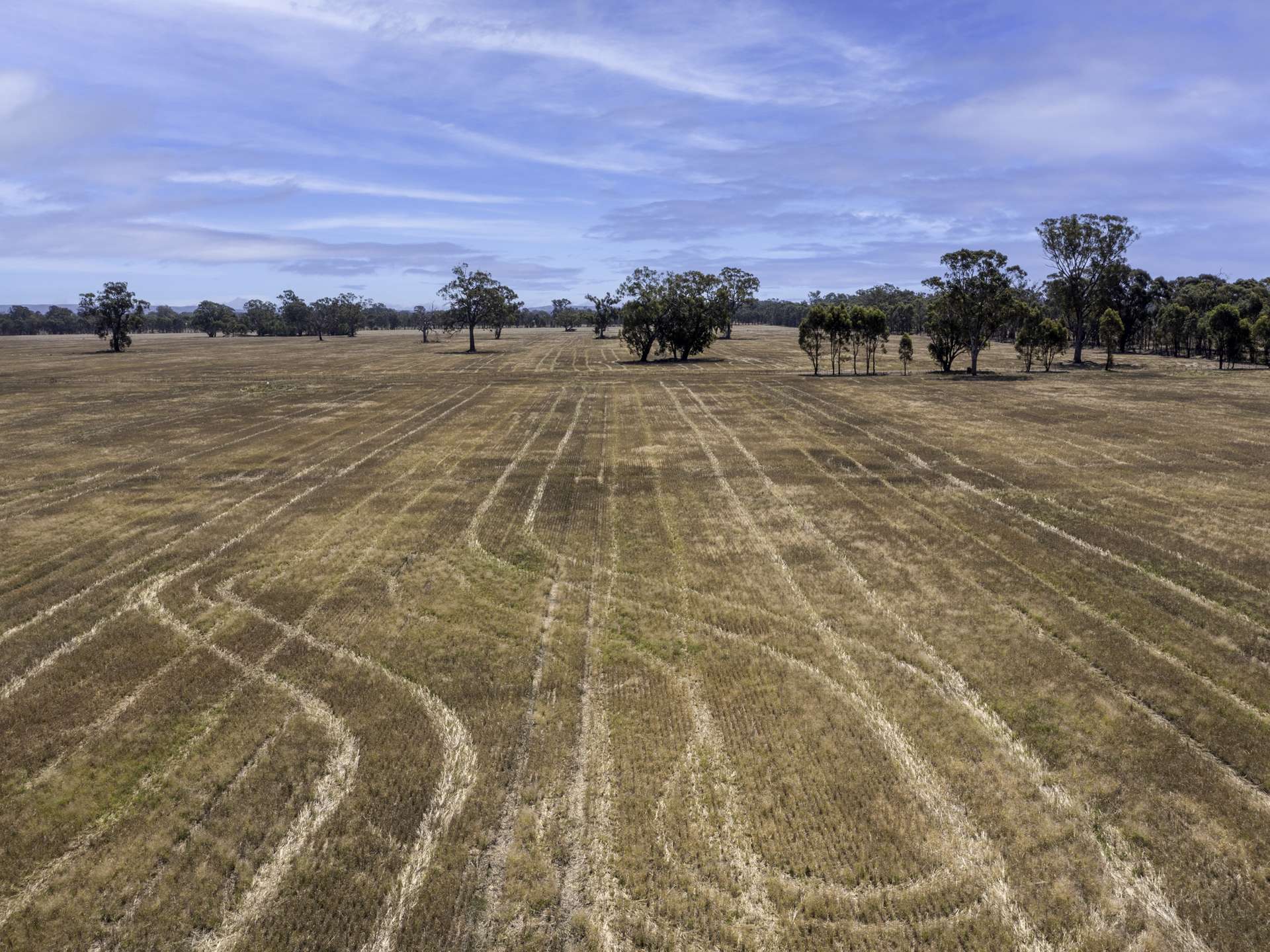 740 Boland Road, Boorhaman For Sale by Farmbuy.com - image 15