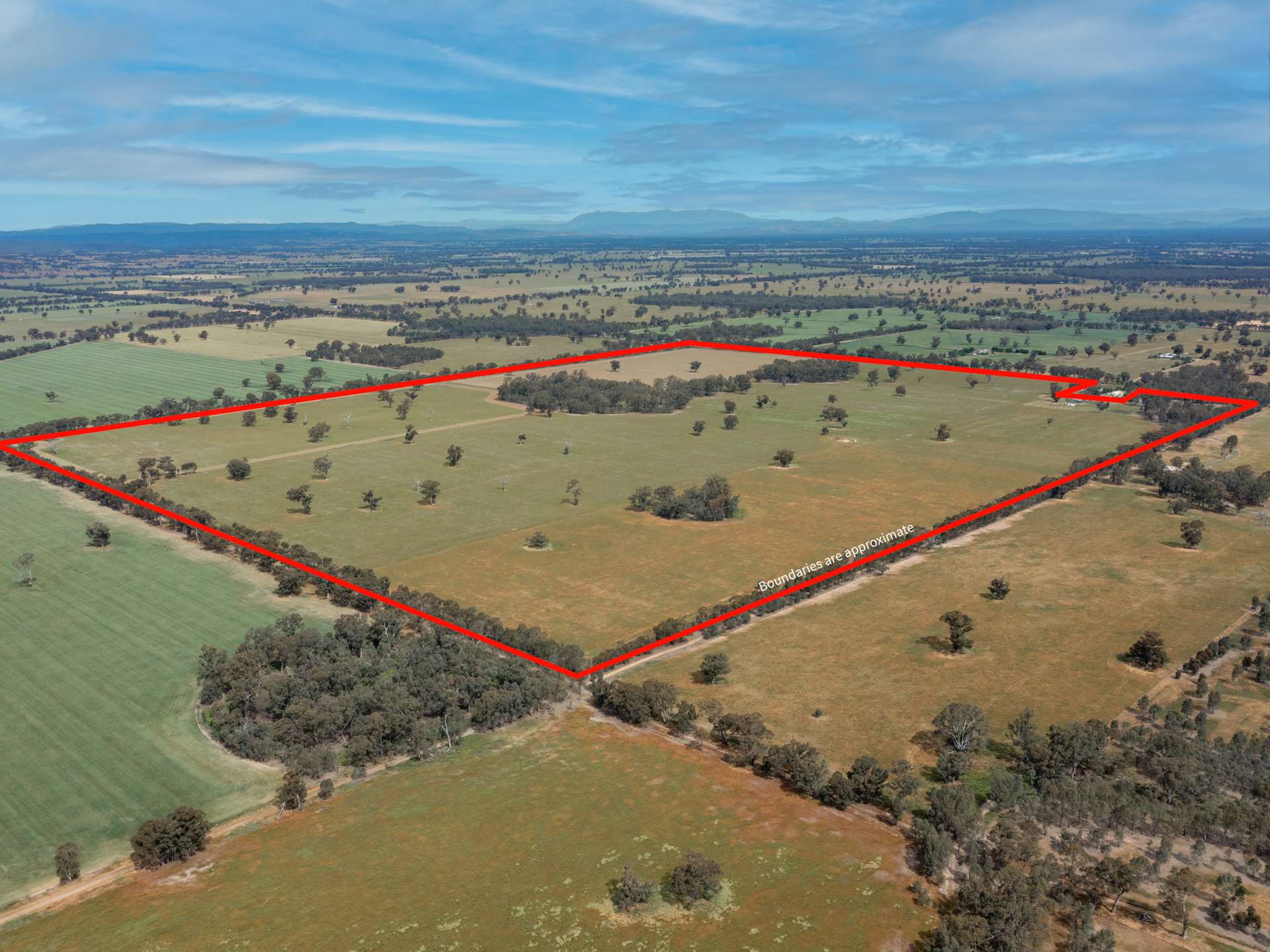 740 Boland Road, Boorhaman For Sale by Farmbuy.com - image 2